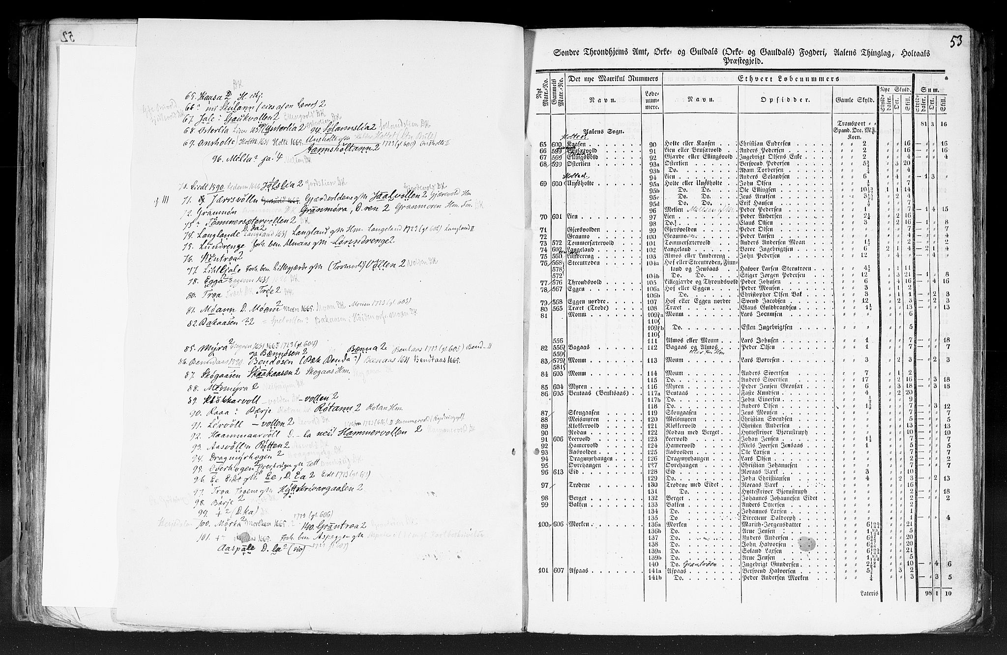 Rygh, AV/RA-PA-0034/F/Fb/L0014: Matrikkelen for 1838 - Søndre Trondhjems amt (Sør-Trøndelag fylke), 1838, p. 53a
