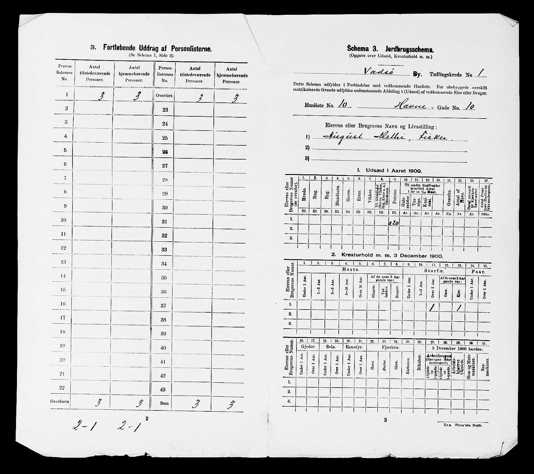 SATØ, 1900 census for Vadsø, 1900, p. 41