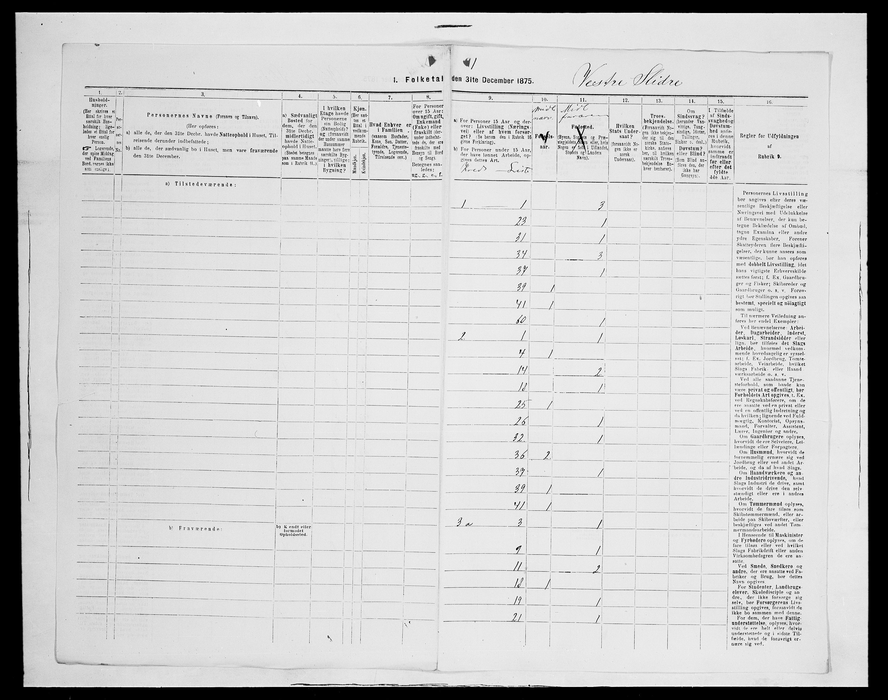 SAH, 1875 census for 0543P Vestre Slidre, 1875, p. 13