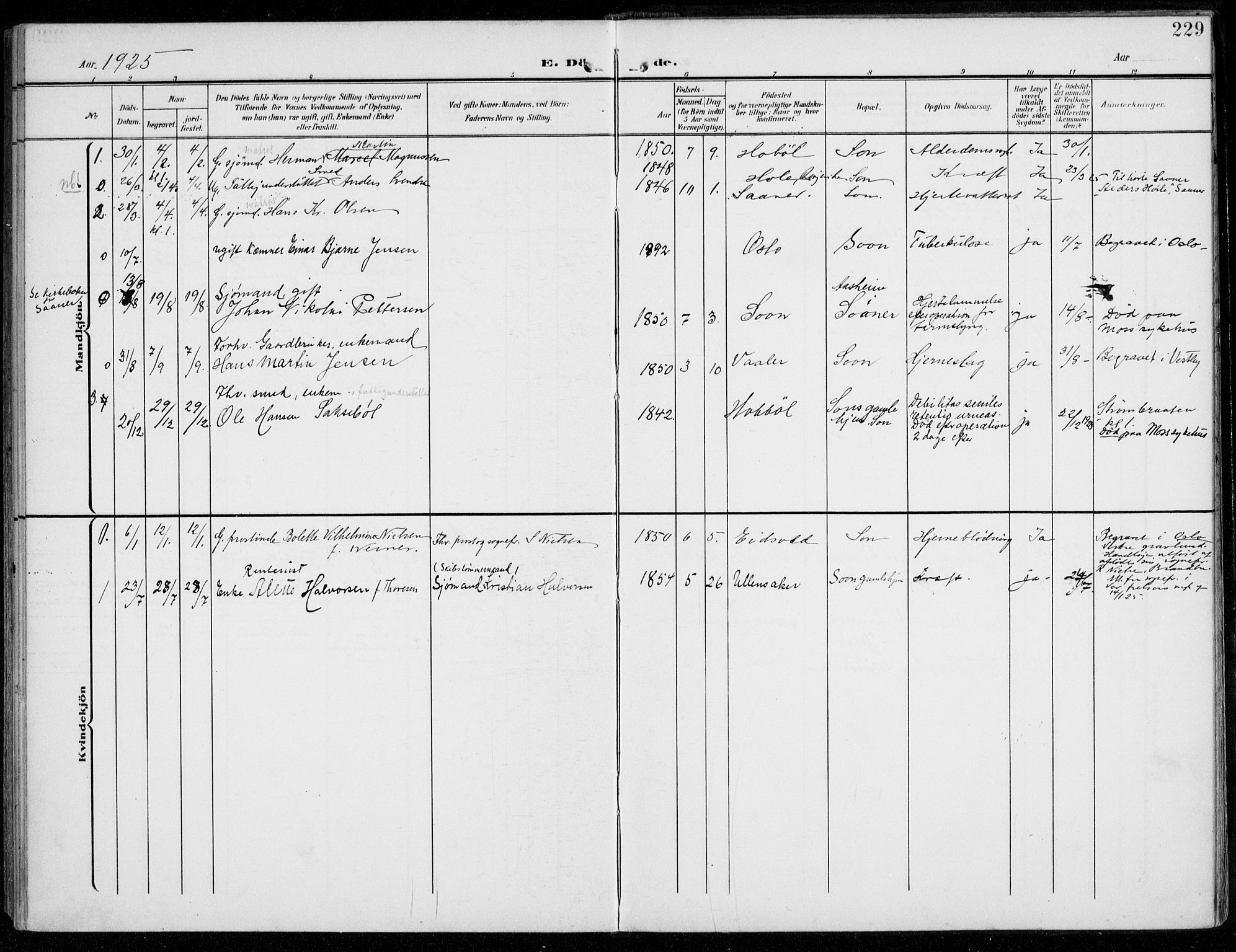 Vestby prestekontor Kirkebøker, SAO/A-10893/F/Fc/L0002: Parish register (official) no. III 2, 1906-1940, p. 229