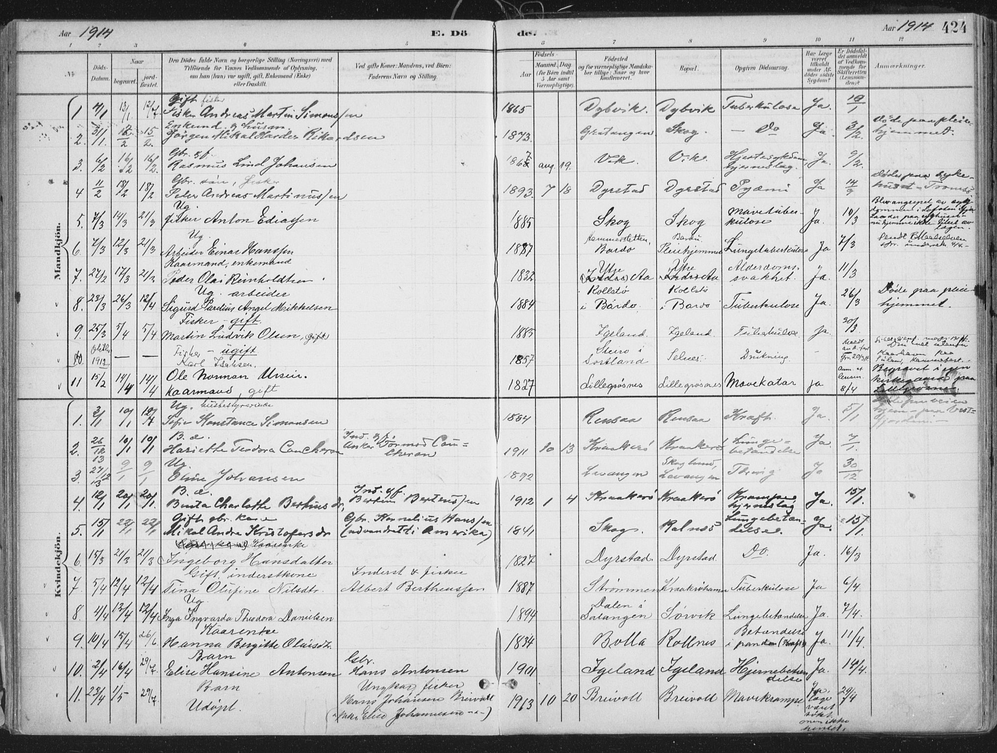 Ibestad sokneprestembete, SATØ/S-0077/H/Ha/Haa/L0017kirke: Parish register (official) no. 17, 1901-1914, p. 424