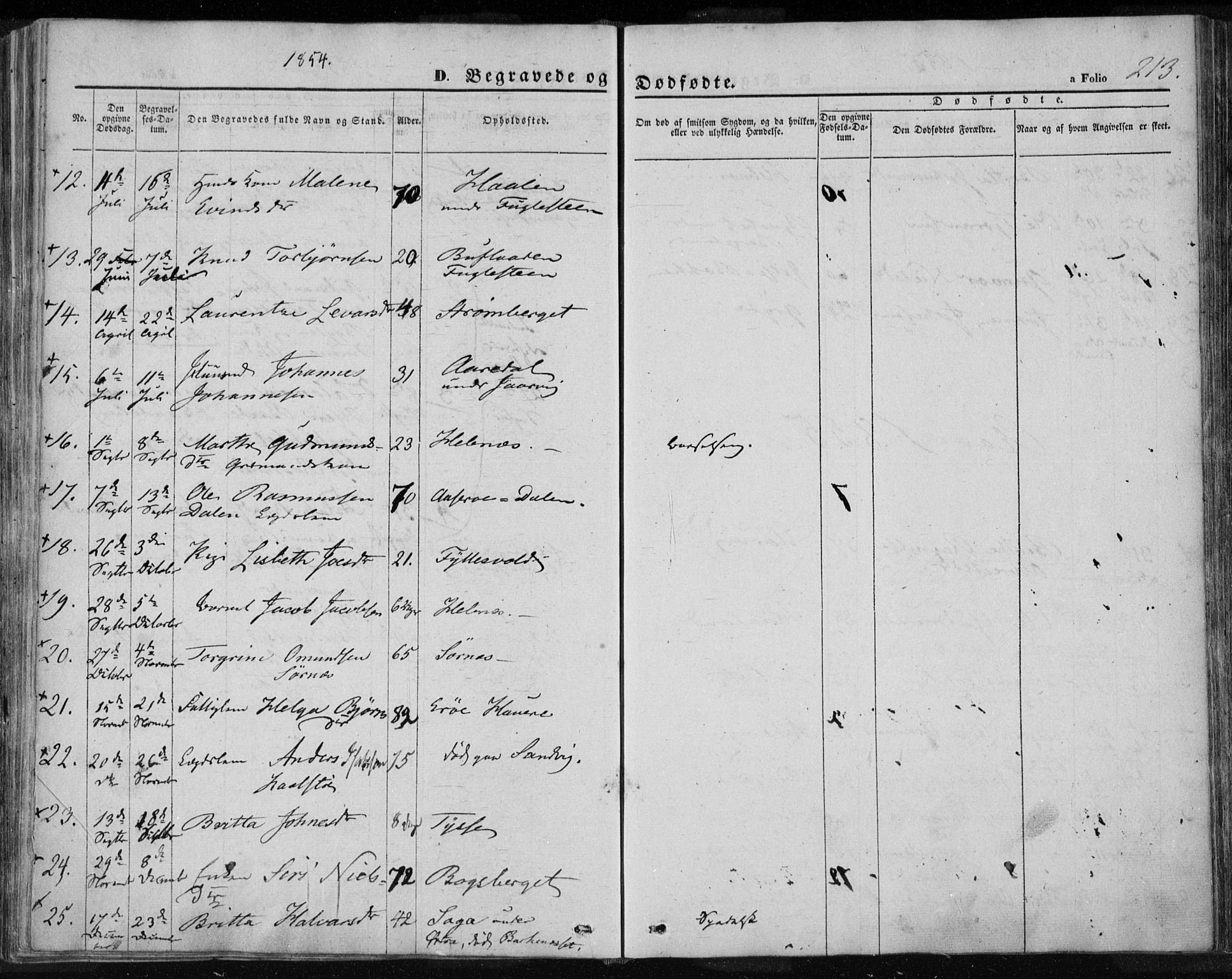 Jelsa sokneprestkontor, SAST/A-101842/01/IV: Parish register (official) no. A 7, 1854-1866, p. 213