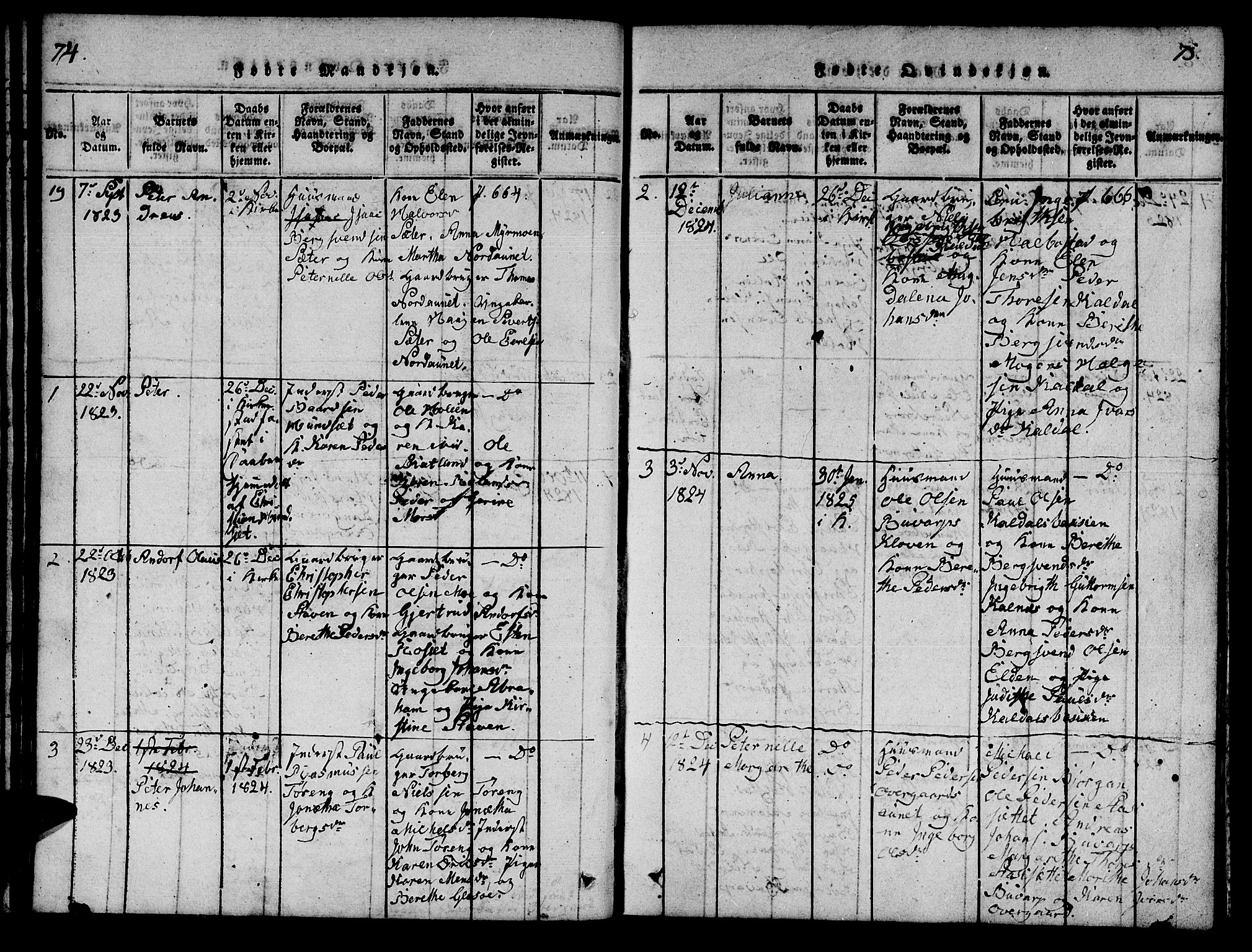 Ministerialprotokoller, klokkerbøker og fødselsregistre - Nord-Trøndelag, SAT/A-1458/742/L0411: Parish register (copy) no. 742C02, 1817-1825, p. 74-75