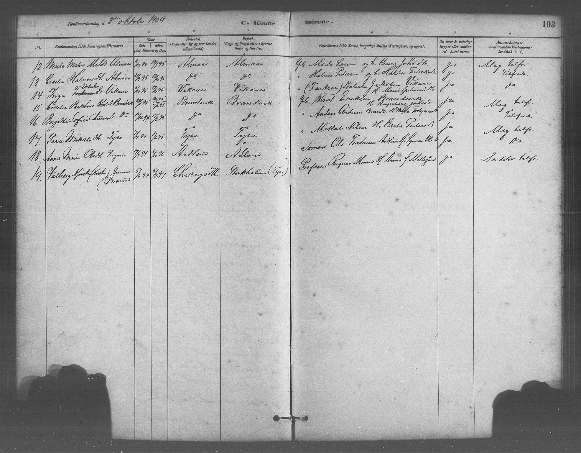 Stord sokneprestembete, SAB/A-78201/H/Hab: Parish register (copy) no. A 2, 1879-1909, p. 193