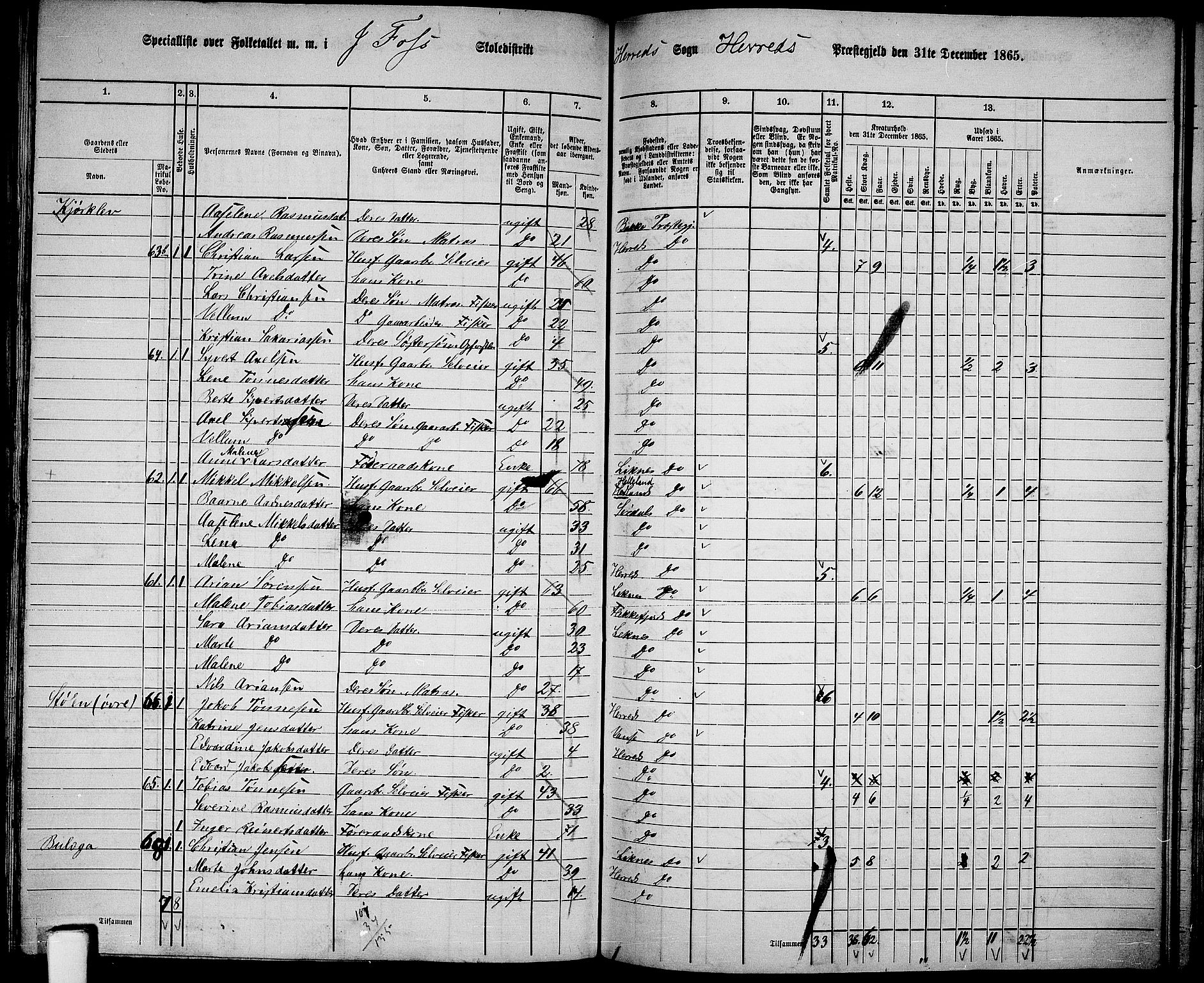 RA, 1865 census for Herad, 1865, p. 25