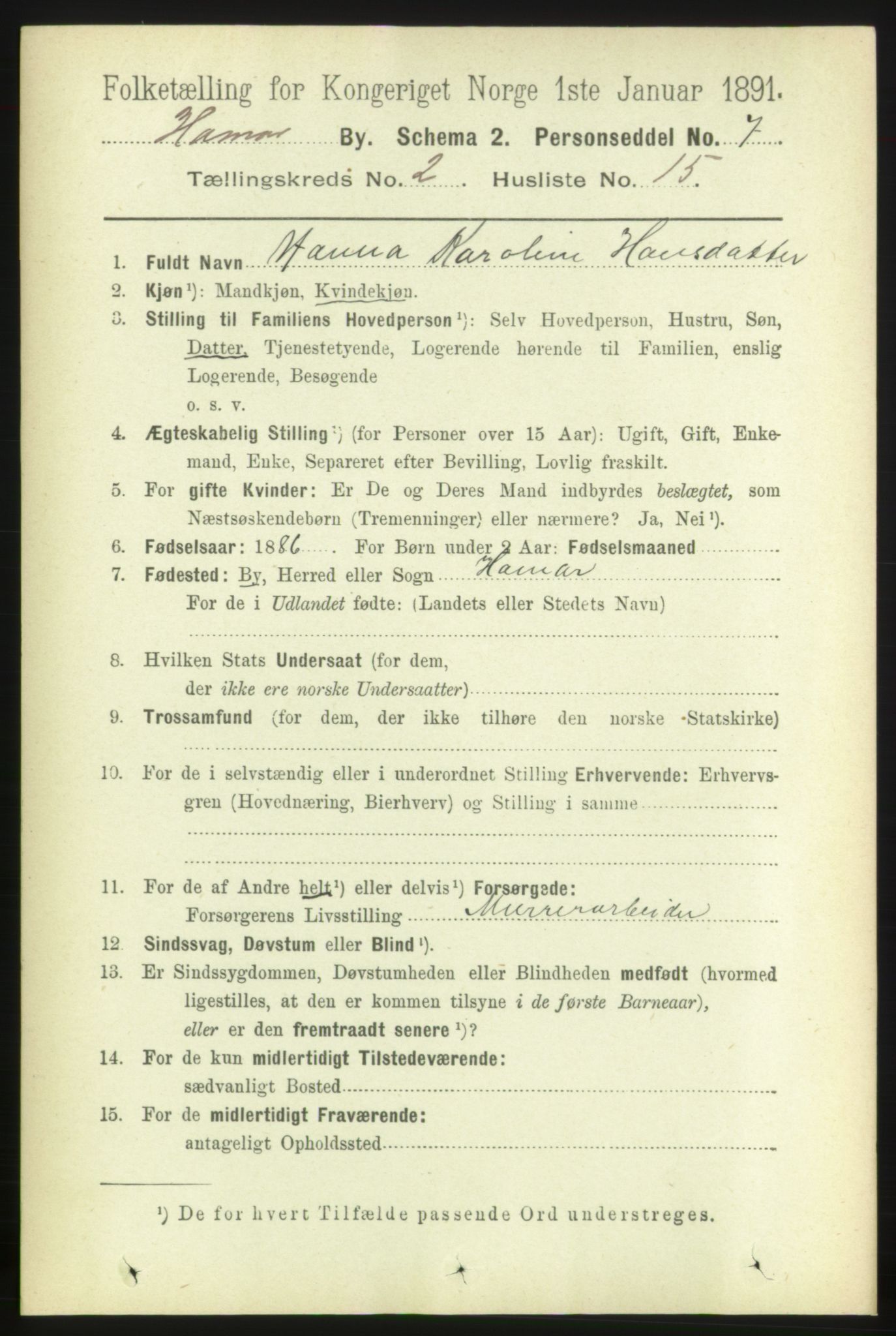 RA, 1891 census for 0401 Hamar, 1891, p. 1196