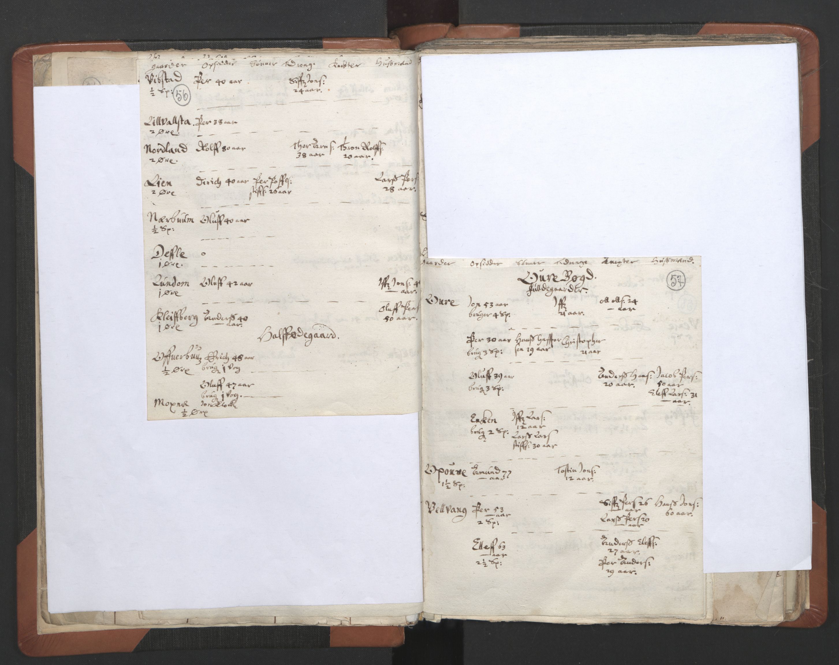 RA, Vicar's Census 1664-1666, no. 32: Innherad deanery, 1664-1666, p. 56-57