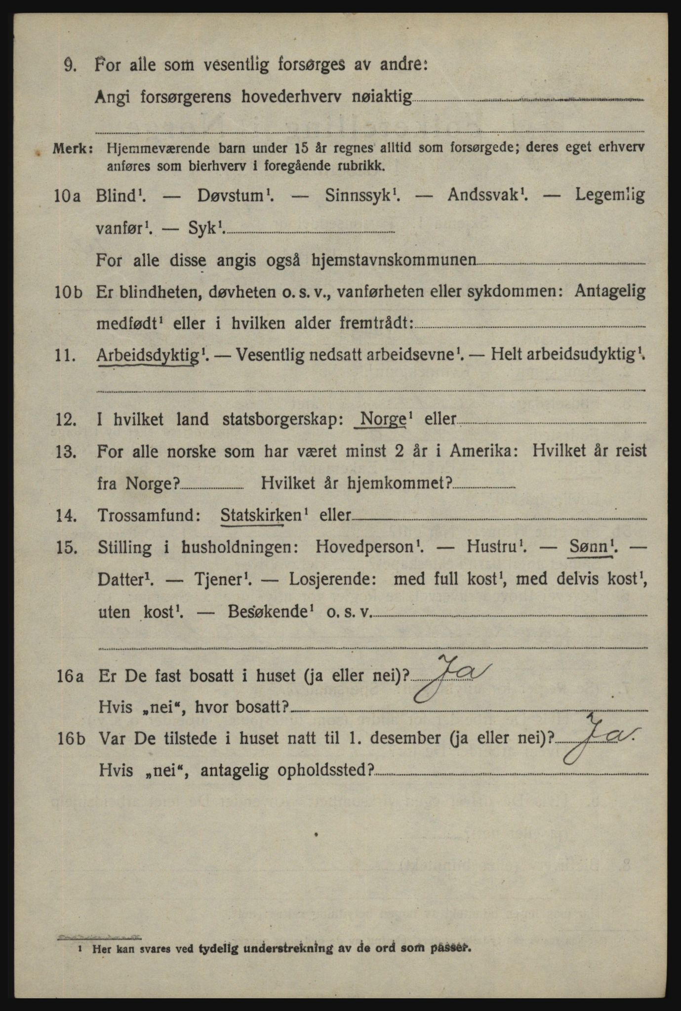 SAO, 1920 census for Skjeberg, 1920, p. 12988