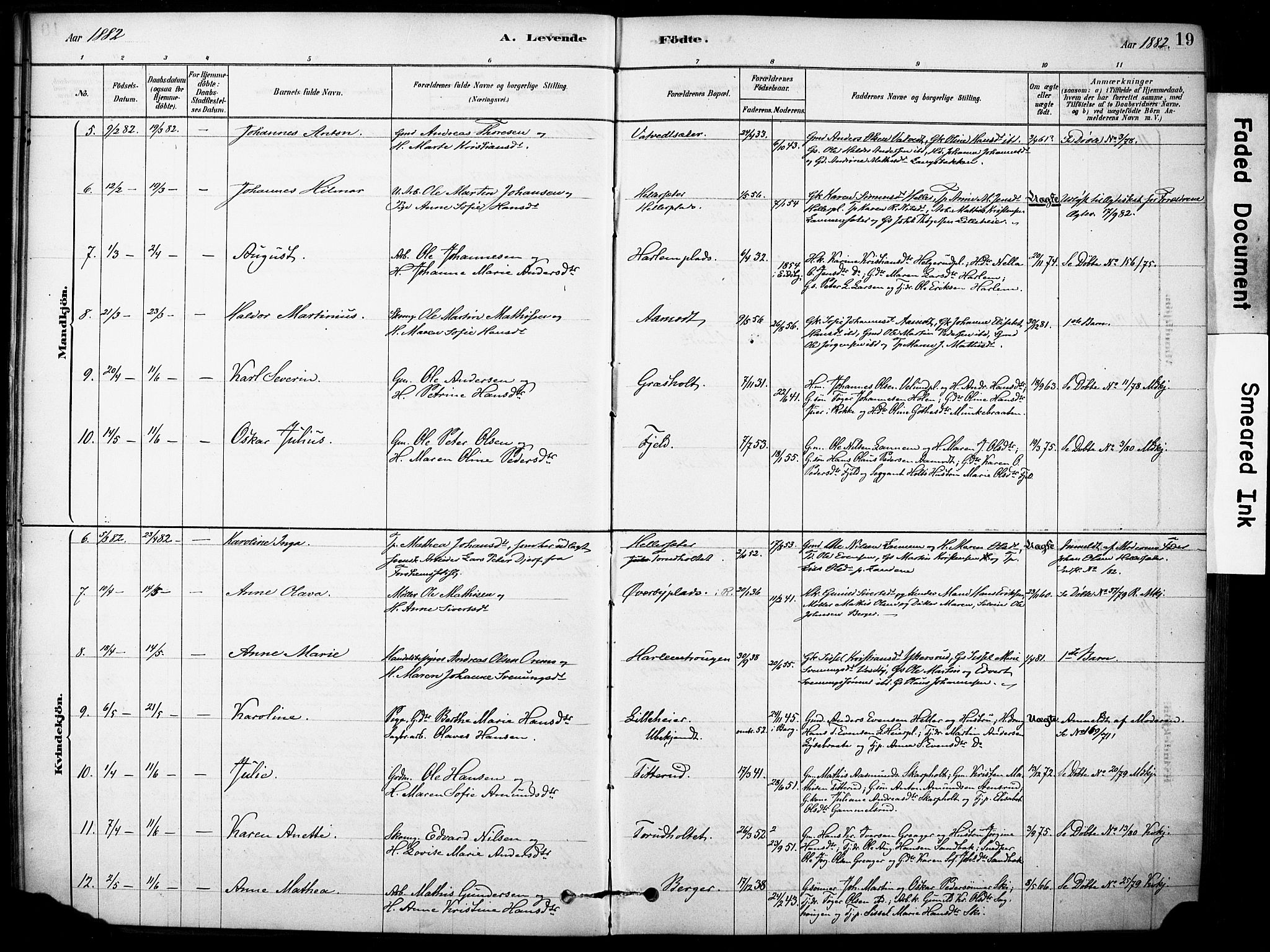 Rakkestad prestekontor Kirkebøker, AV/SAO-A-2008/F/Fb/L0001: Parish register (official) no. II 1, 1878-1899, p. 19