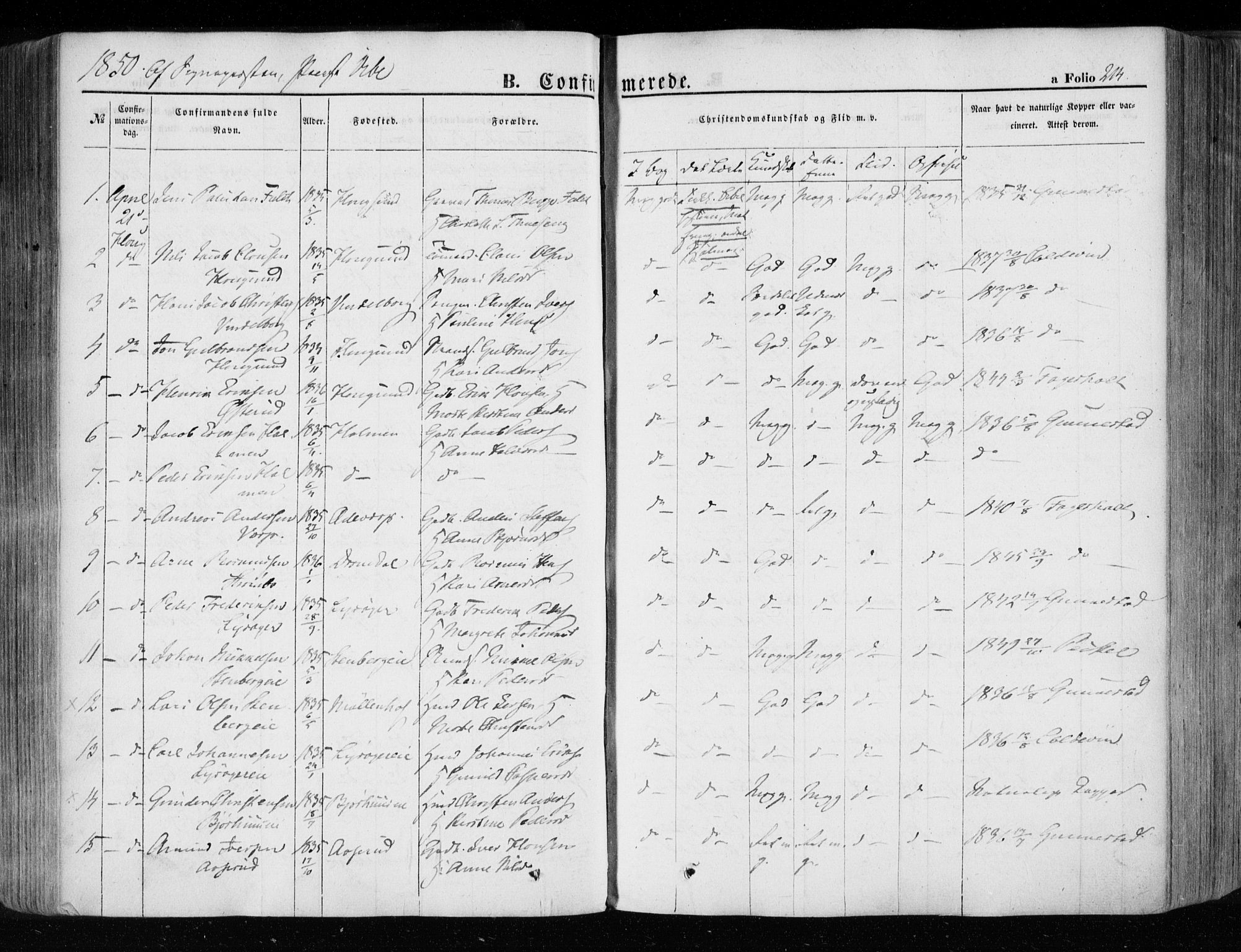 Eiker kirkebøker, SAKO/A-4/F/Fa/L0014: Parish register (official) no. I 14, 1846-1854, p. 214