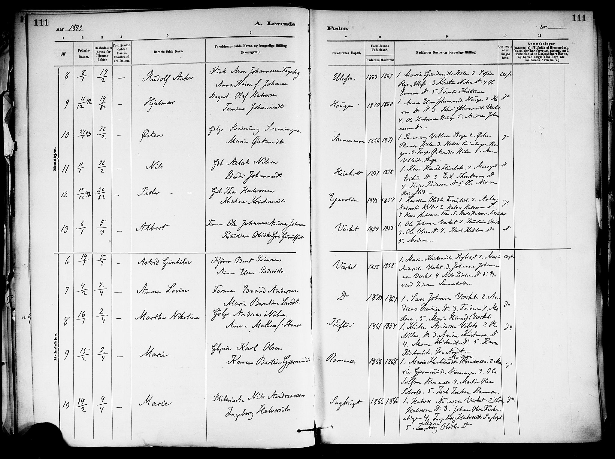 Holla kirkebøker, AV/SAKO-A-272/F/Fa/L0008: Parish register (official) no. 8, 1882-1897, p. 111