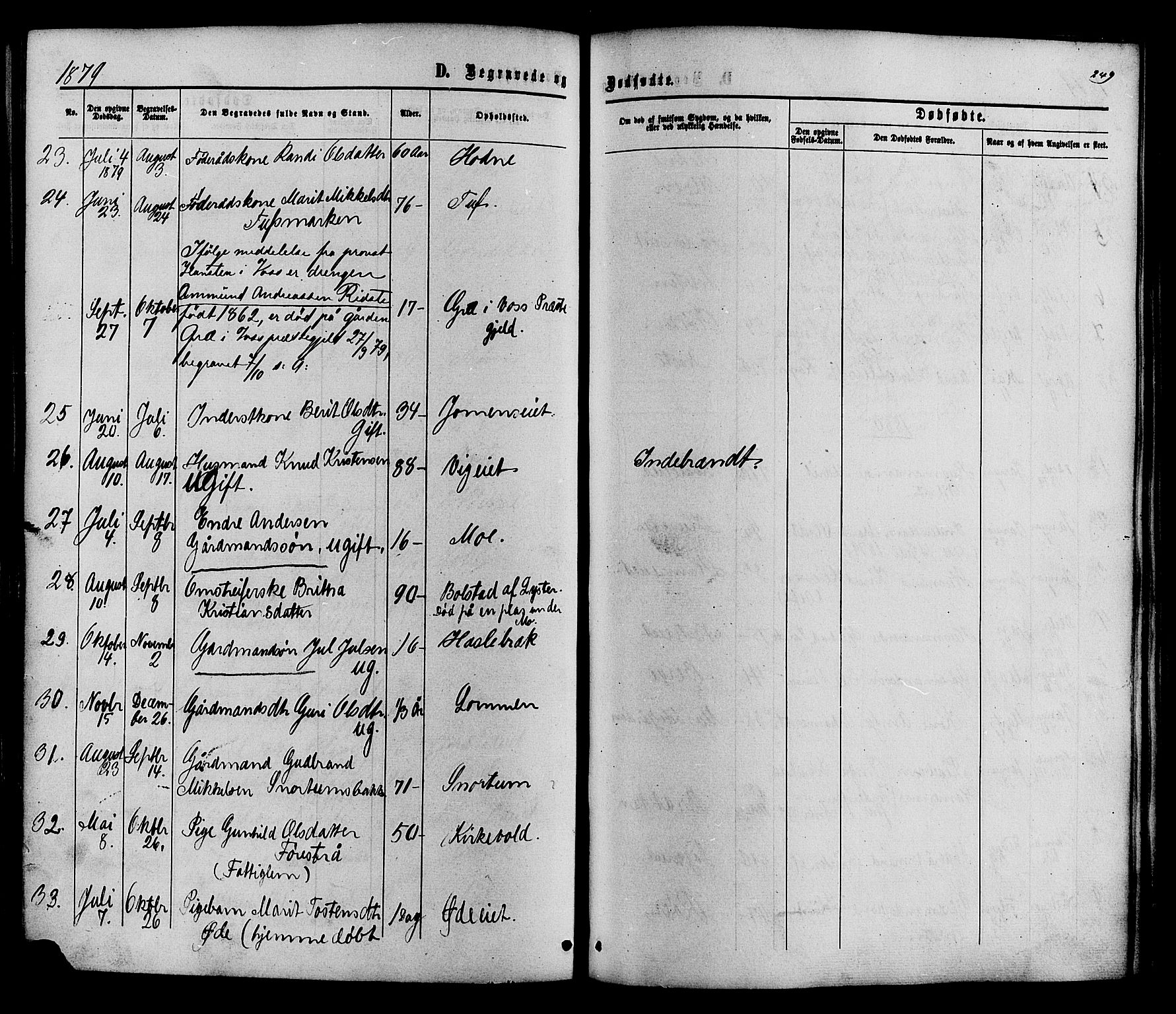 Vestre Slidre prestekontor, SAH/PREST-136/H/Ha/Haa/L0003: Parish register (official) no. 3, 1865-1880, p. 249