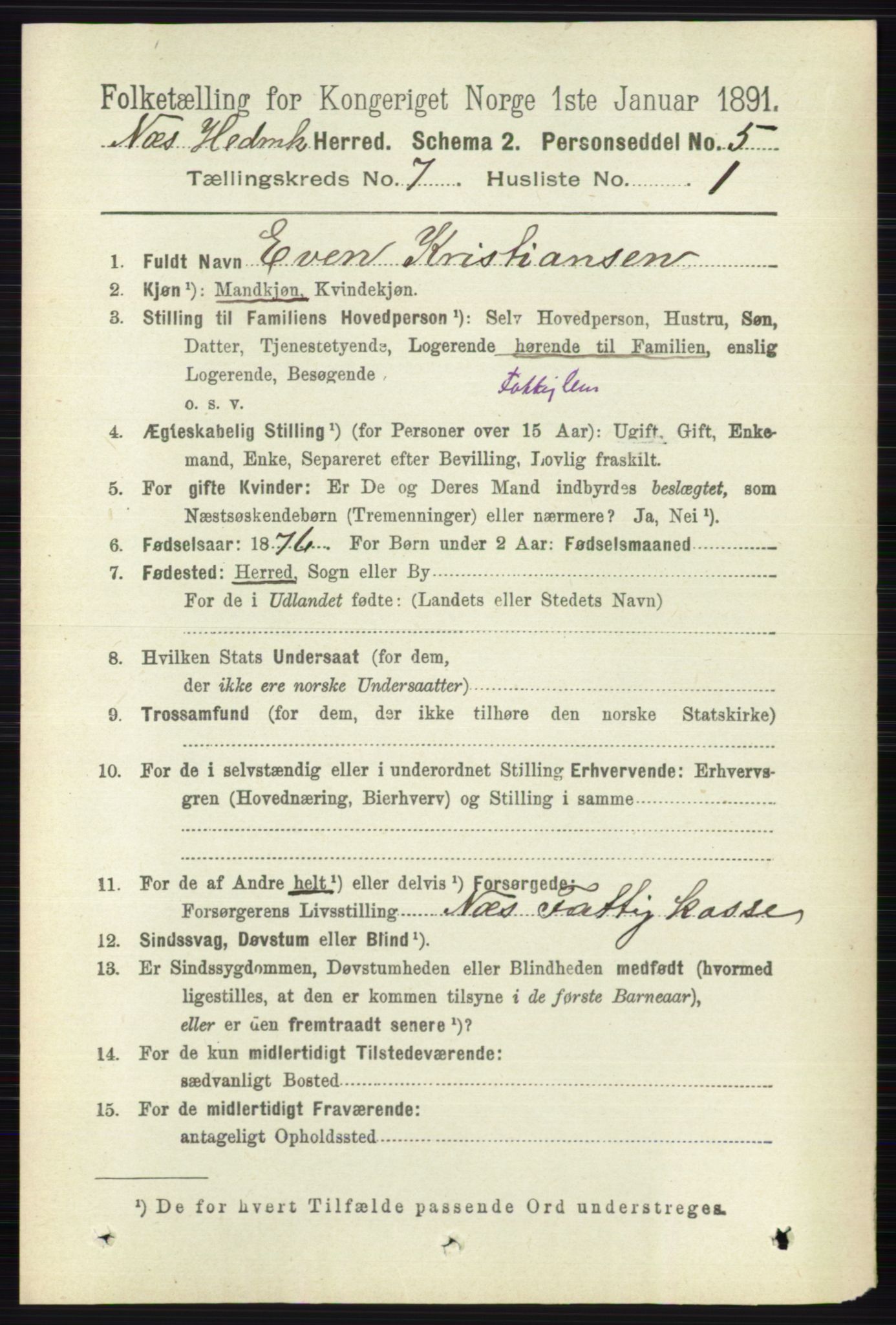 RA, 1891 census for 0411 Nes, 1891, p. 3929