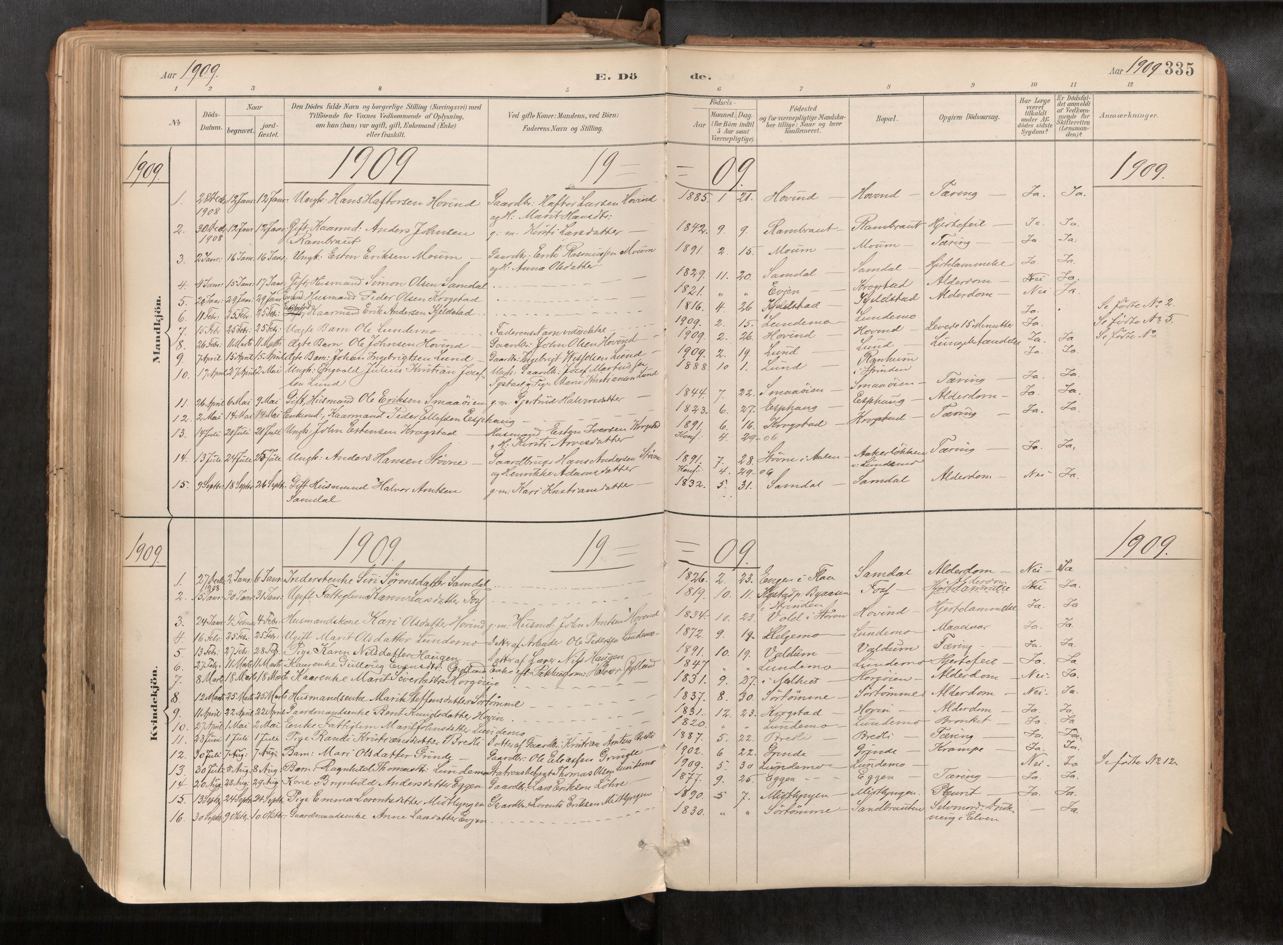 Ministerialprotokoller, klokkerbøker og fødselsregistre - Sør-Trøndelag, SAT/A-1456/692/L1105b: Parish register (official) no. 692A06, 1891-1934, p. 335