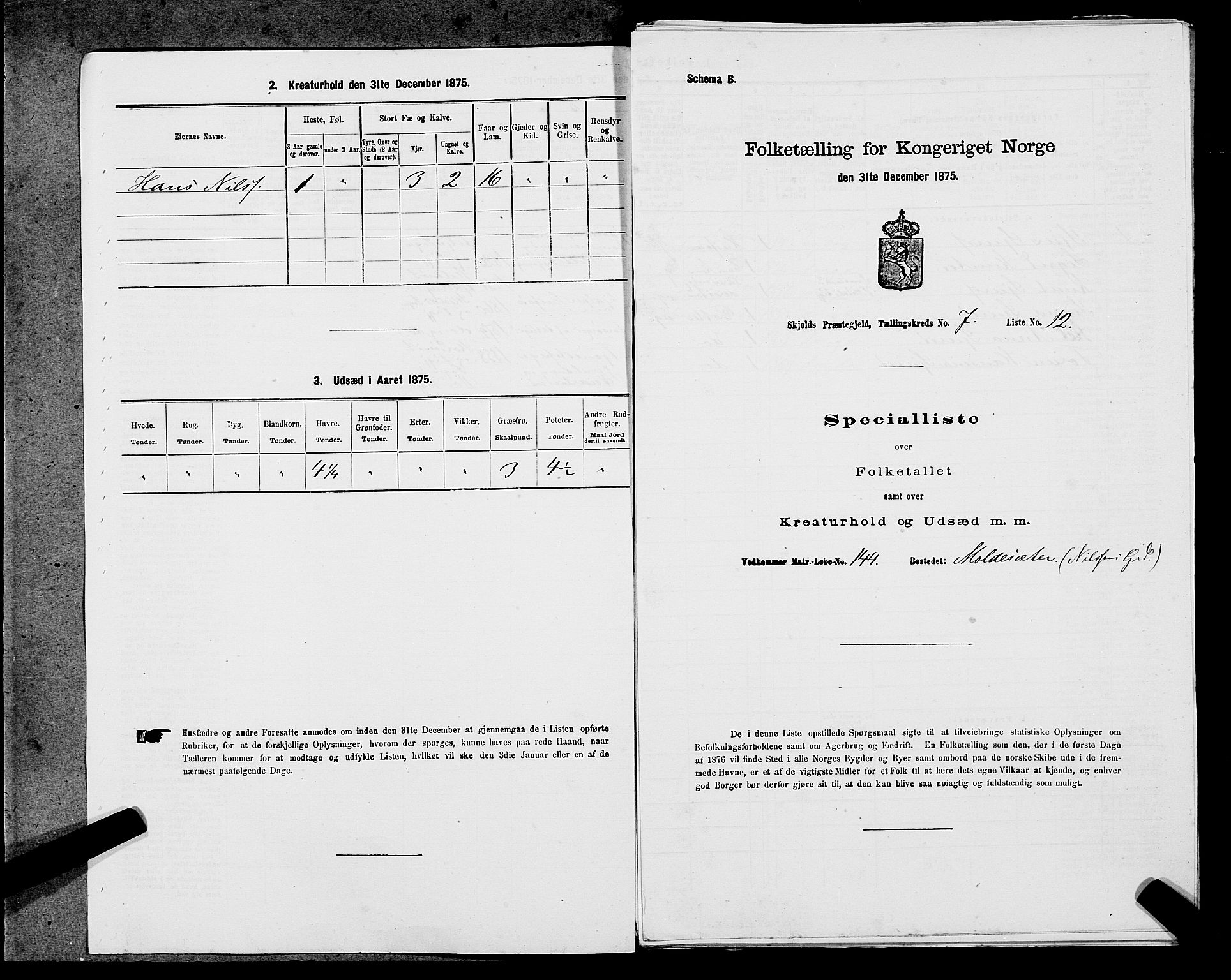 SAST, 1875 census for 1154P Skjold, 1875, p. 621