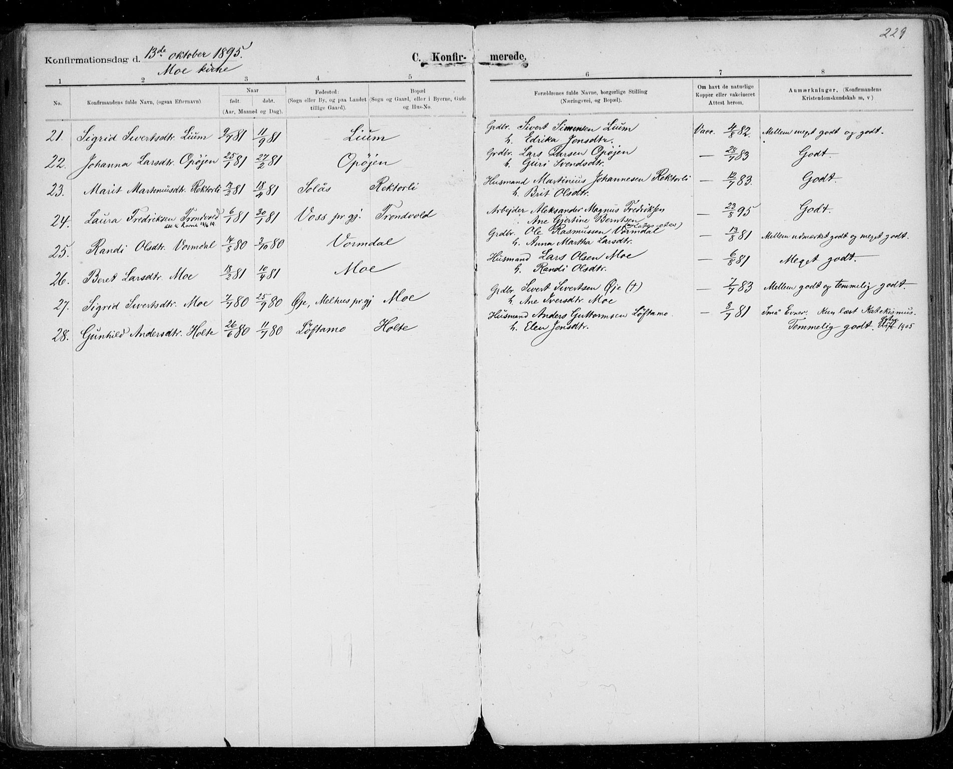 Ministerialprotokoller, klokkerbøker og fødselsregistre - Sør-Trøndelag, AV/SAT-A-1456/668/L0811: Parish register (official) no. 668A11, 1894-1913, p. 229