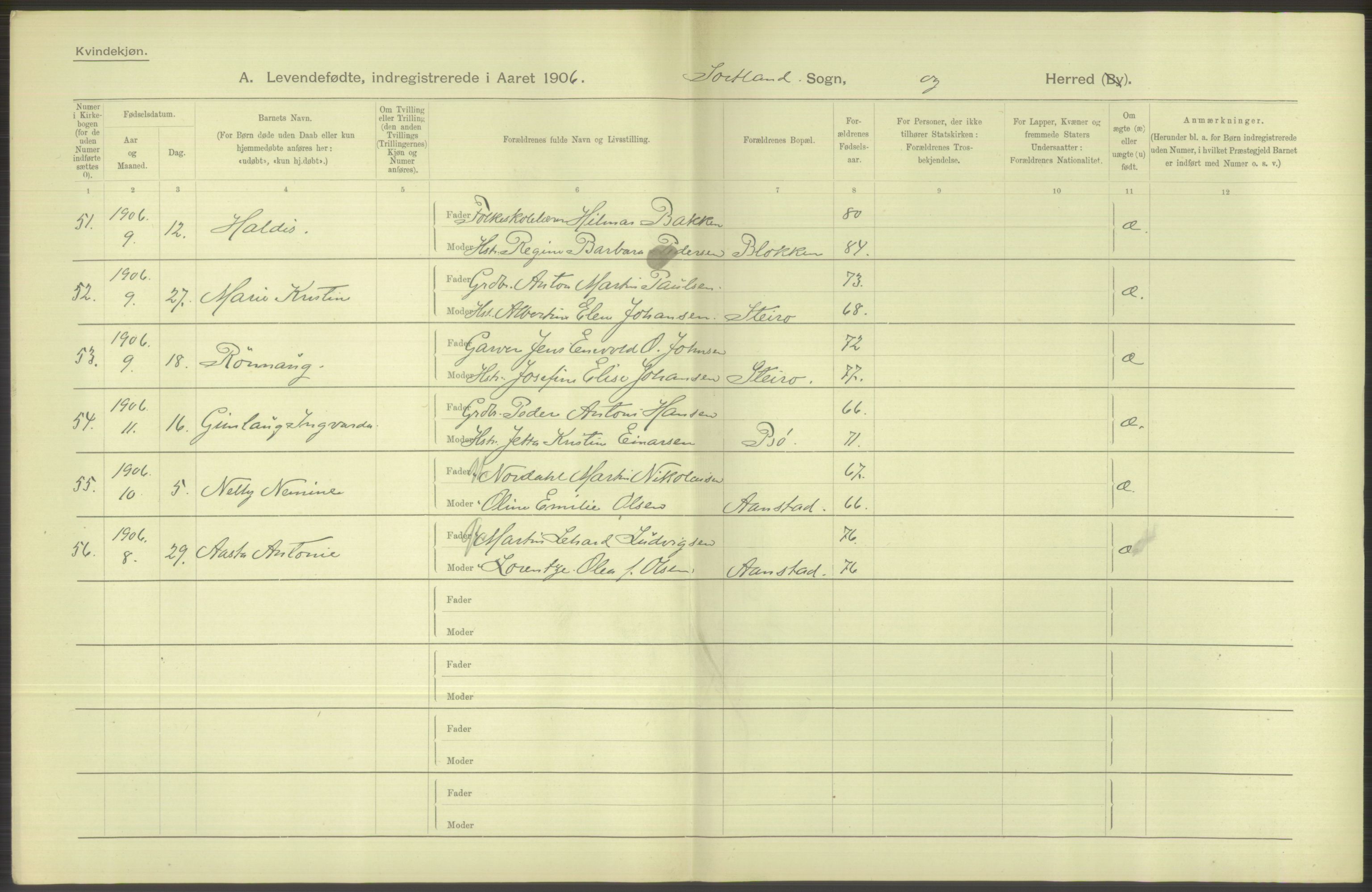 Statistisk sentralbyrå, Sosiodemografiske emner, Befolkning, AV/RA-S-2228/D/Df/Dfa/Dfad/L0044: Nordlands amt: Levendefødte menn og kvinner. Bygder., 1906, p. 36