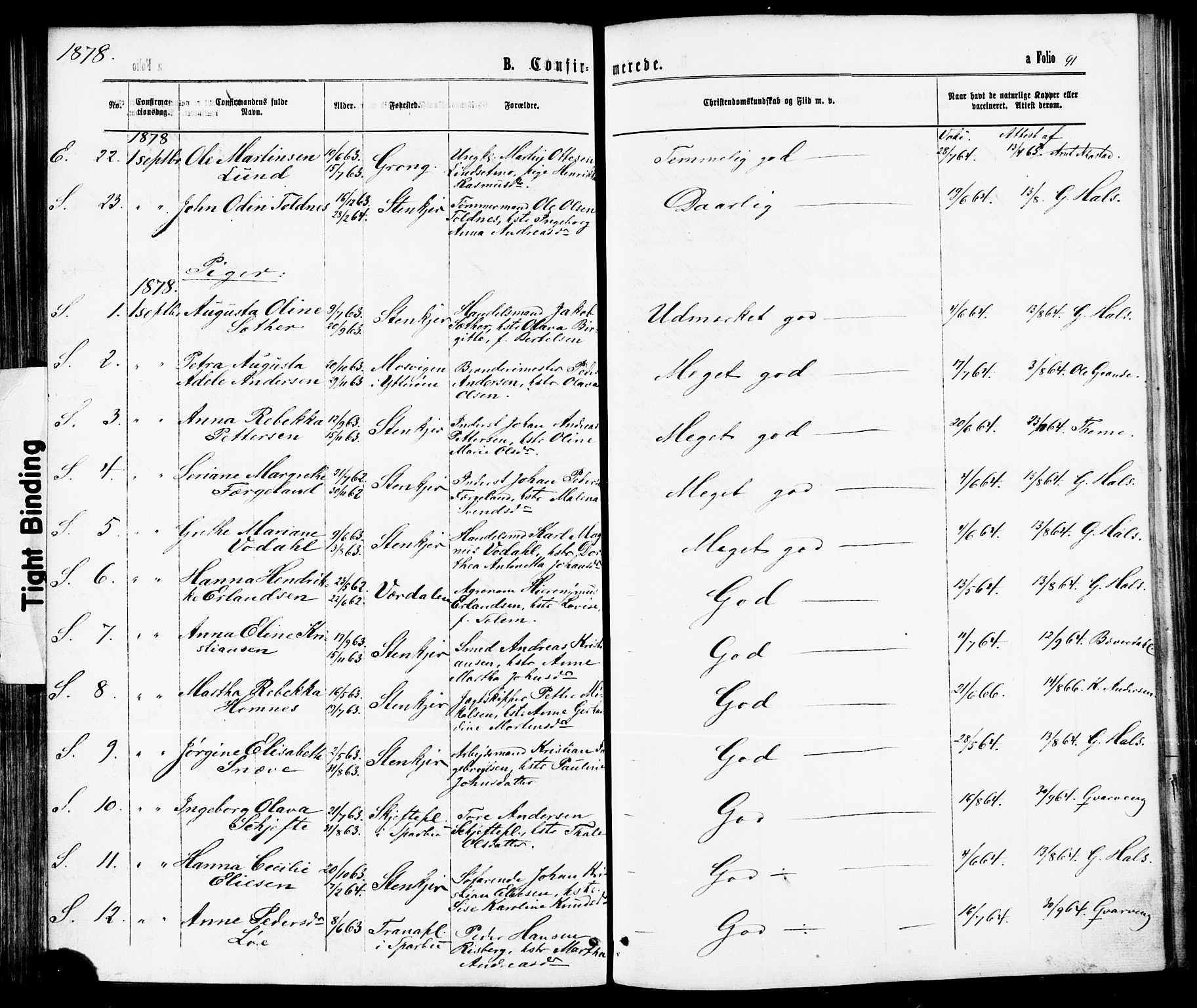 Ministerialprotokoller, klokkerbøker og fødselsregistre - Nord-Trøndelag, AV/SAT-A-1458/739/L0370: Parish register (official) no. 739A02, 1868-1881, p. 91