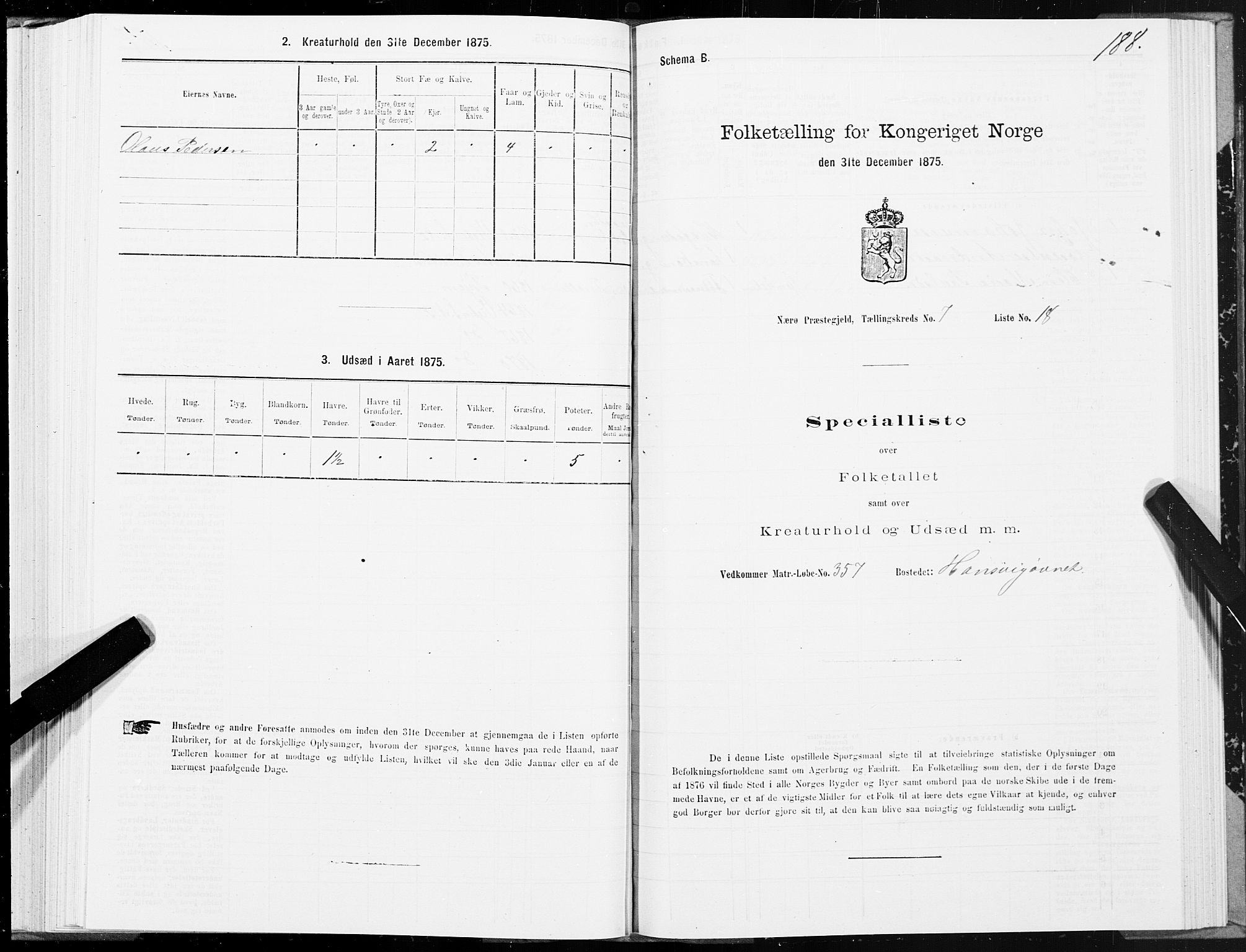 SAT, 1875 census for 1751P Nærøy, 1875, p. 3188