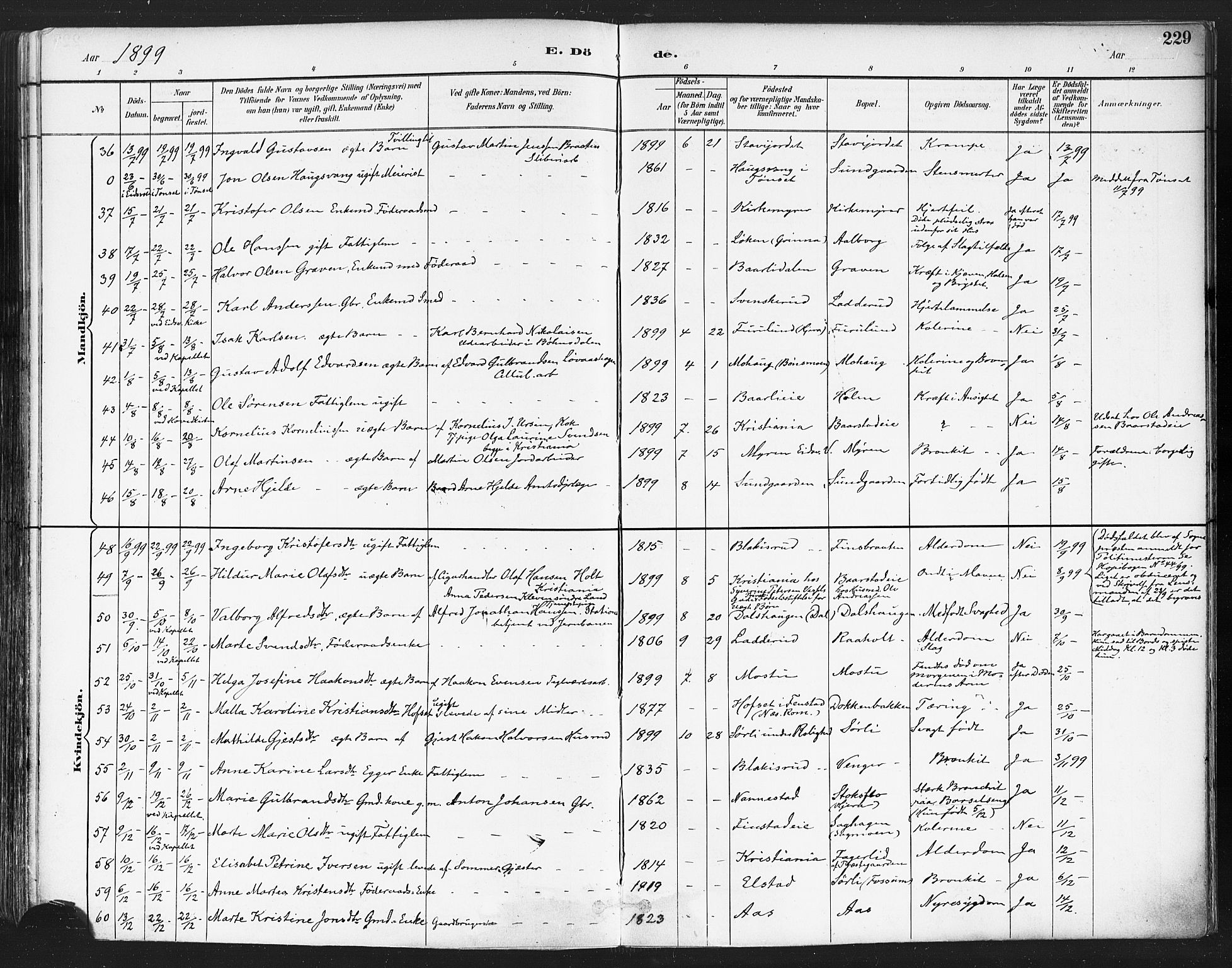 Eidsvoll prestekontor Kirkebøker, SAO/A-10888/F/Fa/L0004: Parish register (official) no. I 4, 1891-1900, p. 229