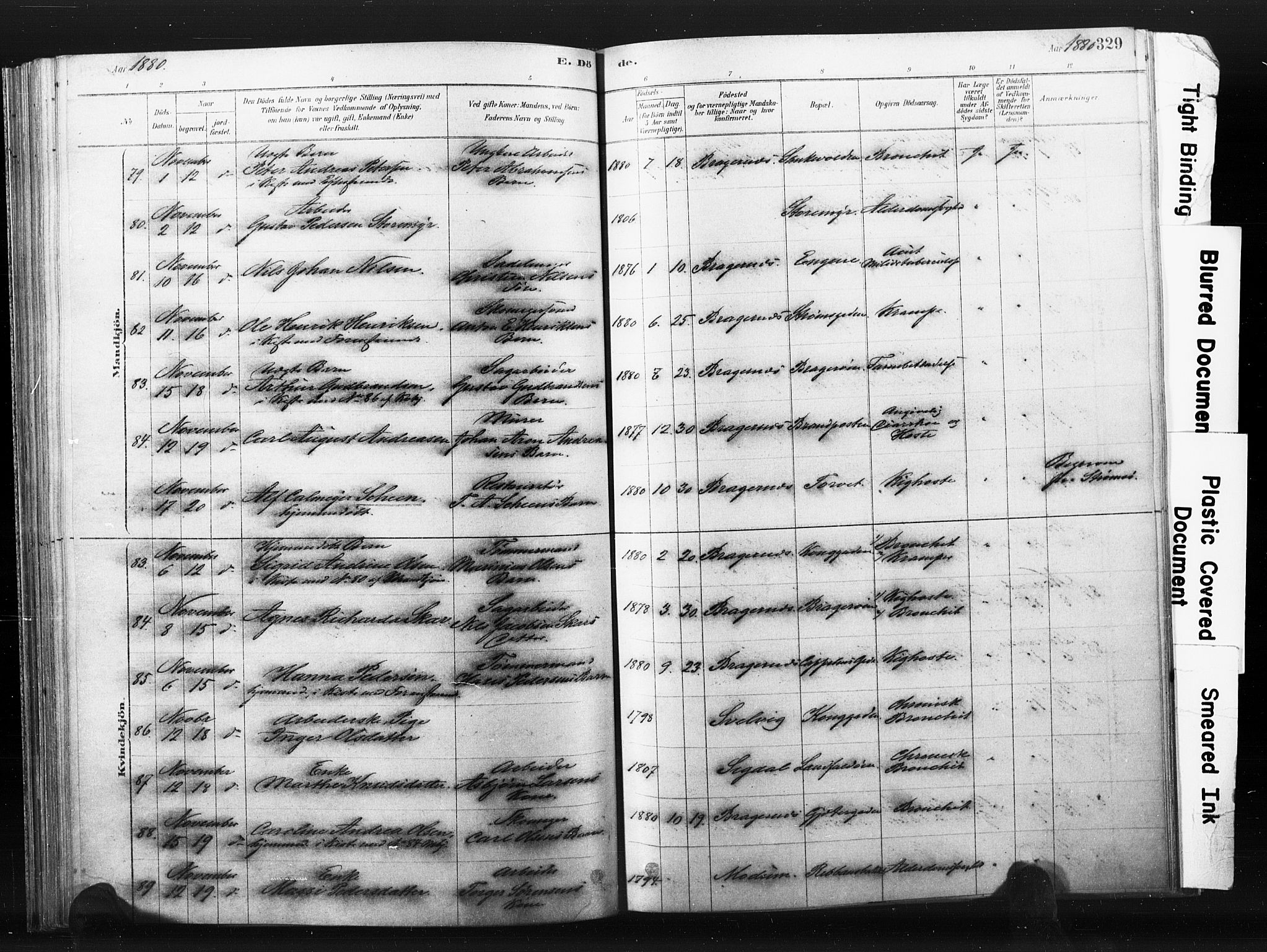 Bragernes kirkebøker, SAKO/A-6/F/Fb/L0006b: Parish register (official) no. II 6B, 1878-1885, p. 329