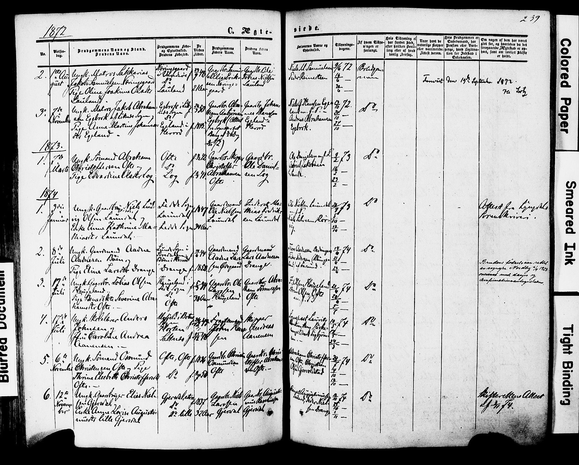 Herad sokneprestkontor, AV/SAK-1111-0018/F/Fa/Faa/L0005: Parish register (official) no. A 5, 1853-1886, p. 239