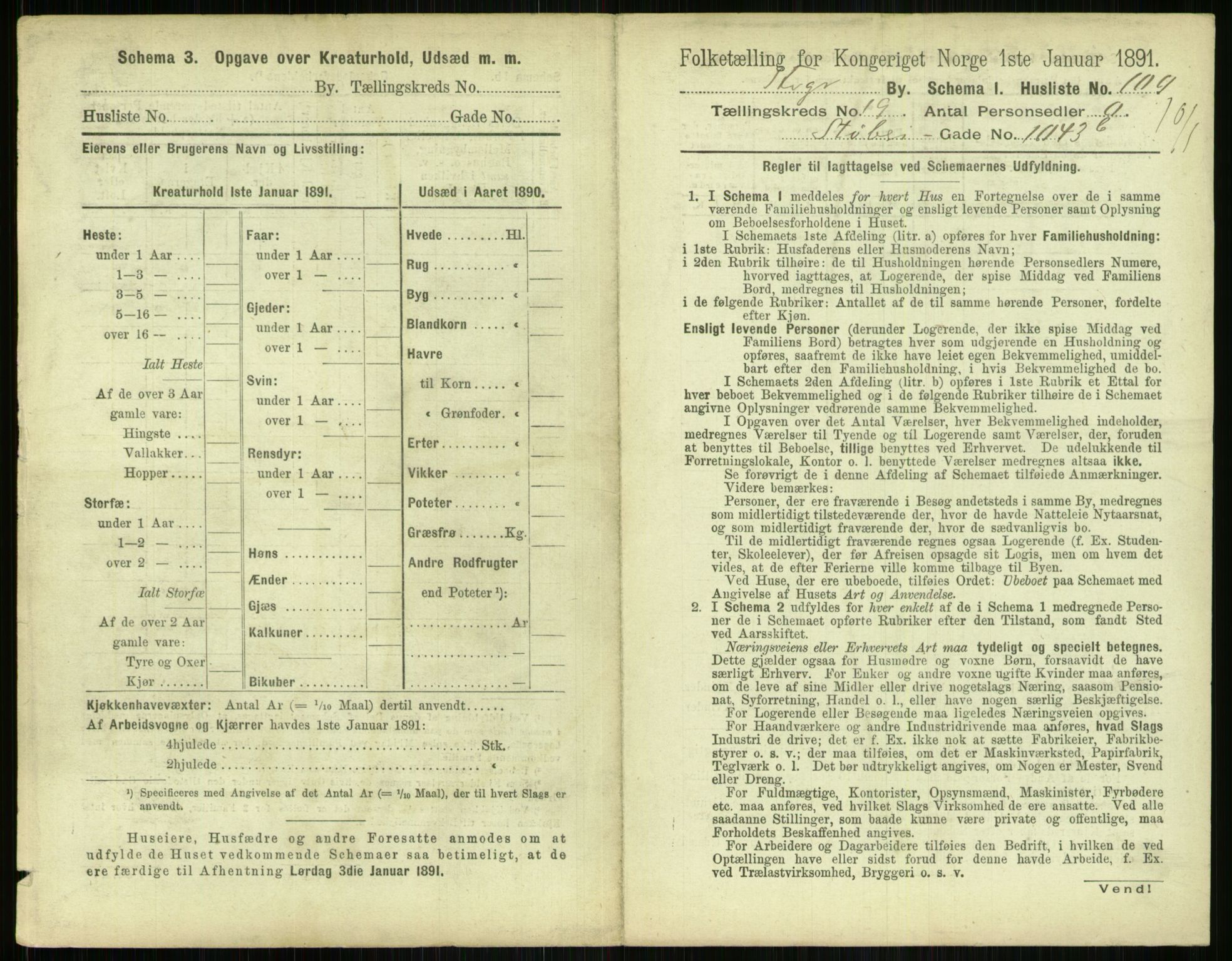 RA, 1891 census for 1103 Stavanger, 1891, p. 3787