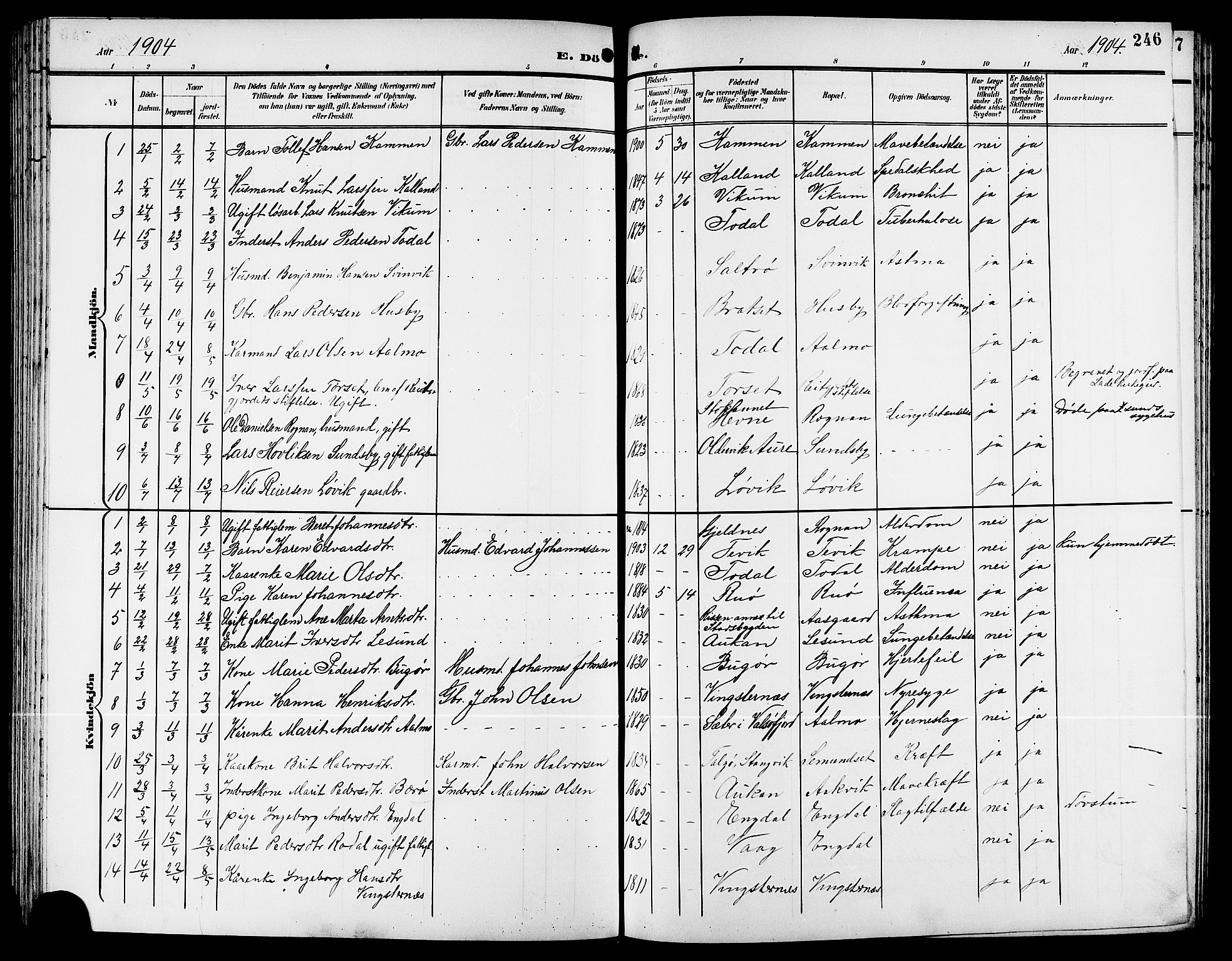 Ministerialprotokoller, klokkerbøker og fødselsregistre - Møre og Romsdal, AV/SAT-A-1454/578/L0910: Parish register (copy) no. 578C03, 1900-1921, p. 246