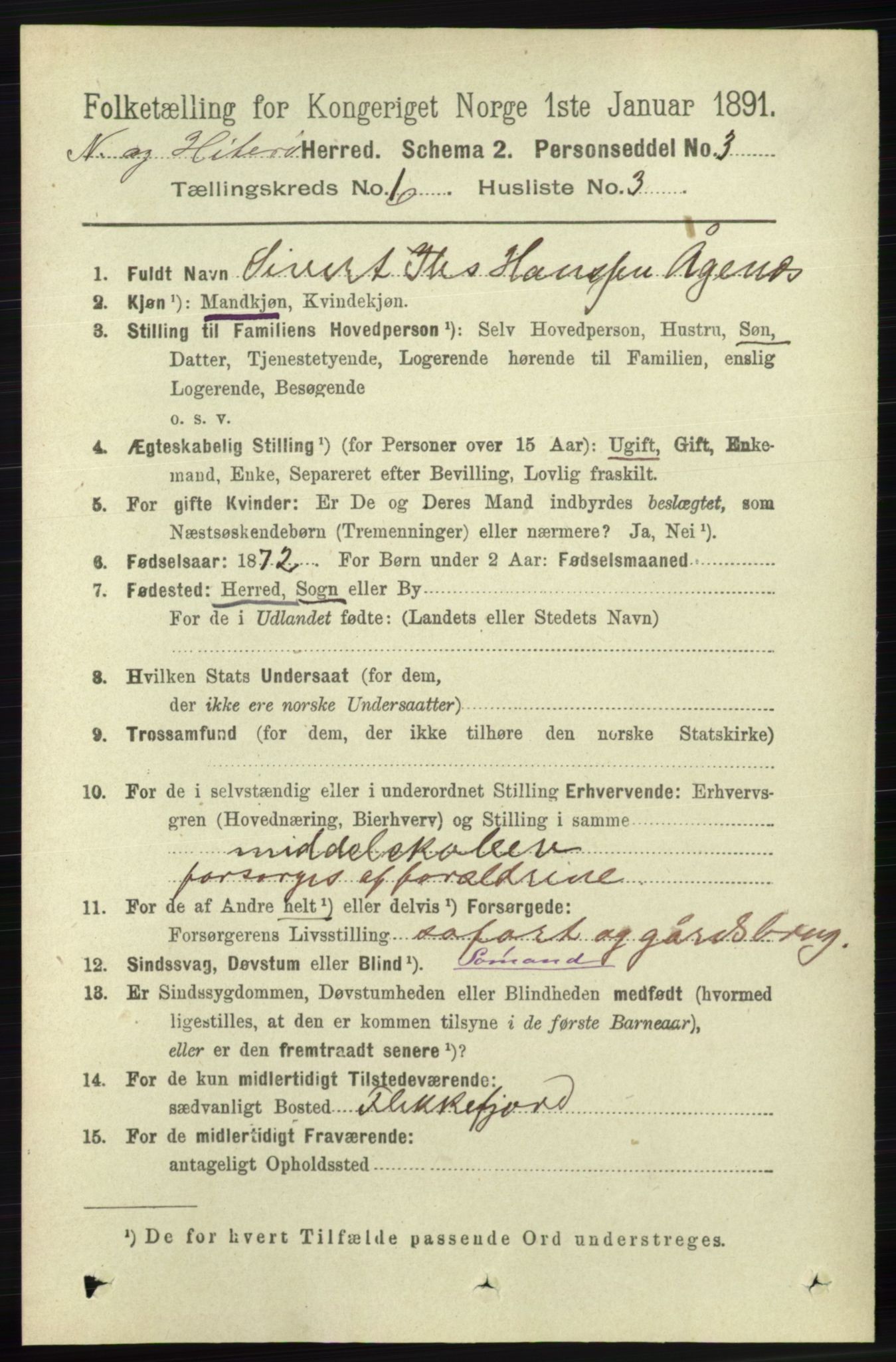 RA, 1891 census for 1043 Hidra og Nes, 1891, p. 2255