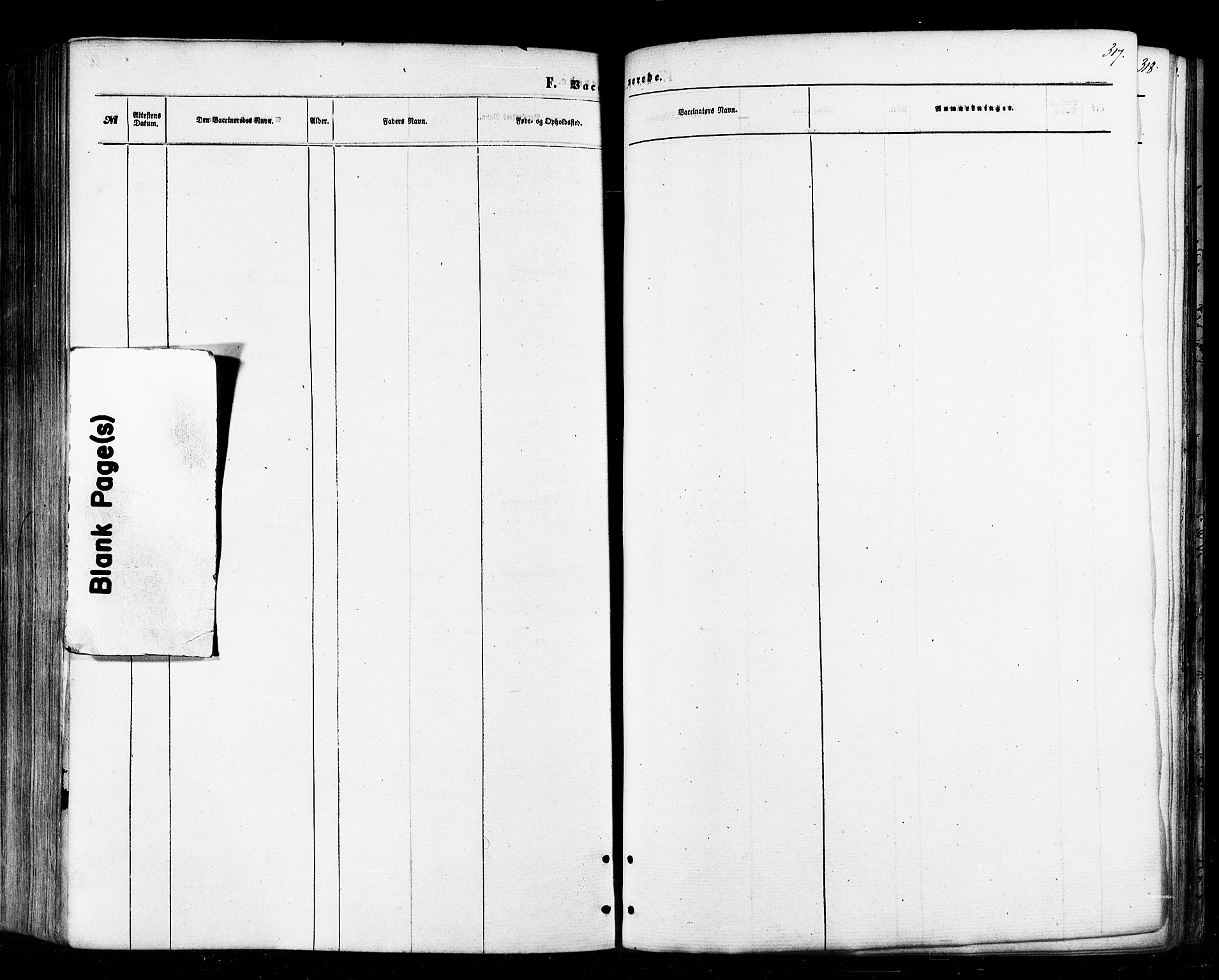 Tana sokneprestkontor, AV/SATØ-S-1334/H/Ha/L0002kirke: Parish register (official) no. 2 /1, 1861-1877, p. 317