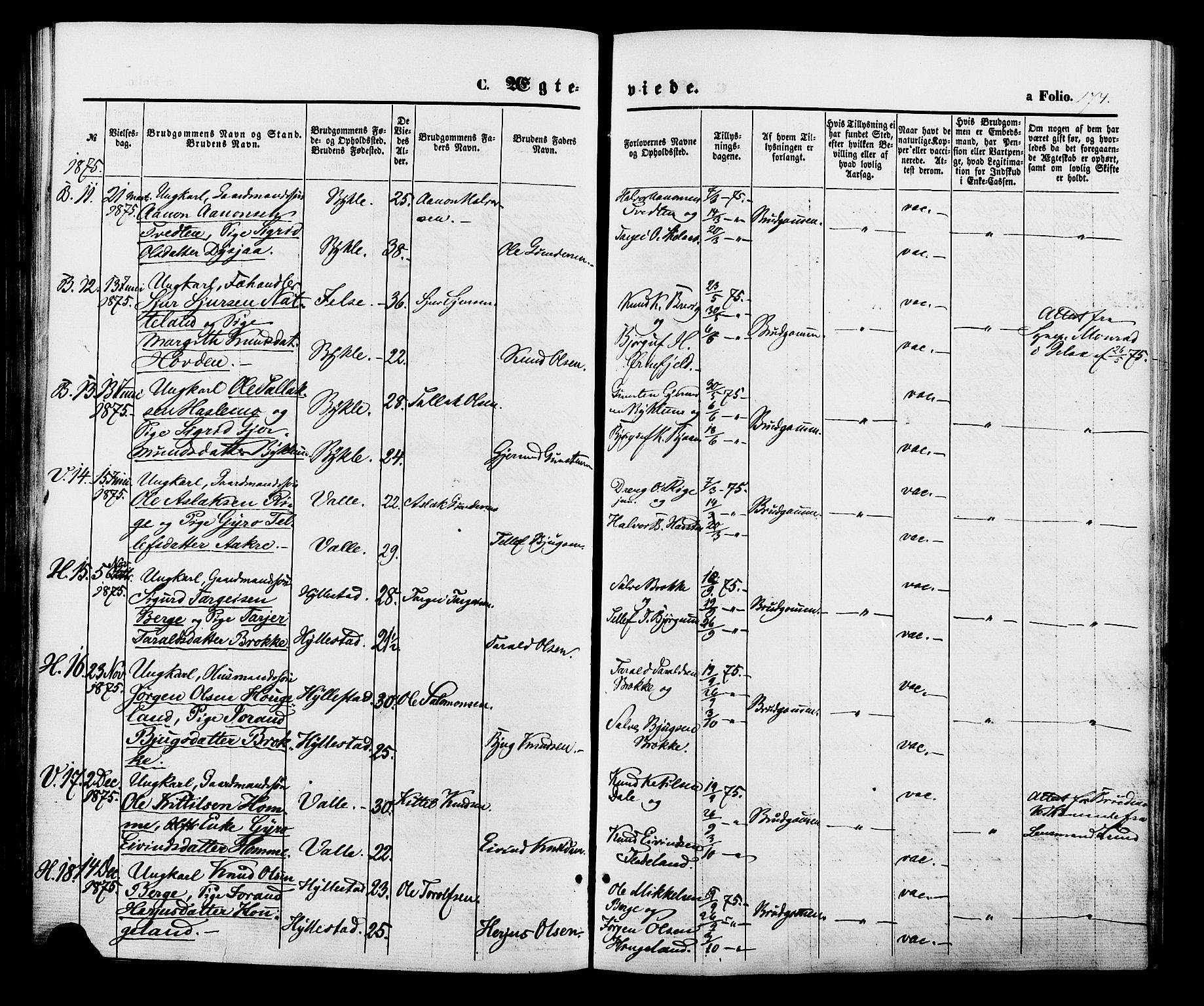 Valle sokneprestkontor, AV/SAK-1111-0044/F/Fa/Fac/L0008: Parish register (official) no. A 8, 1868-1882, p. 174