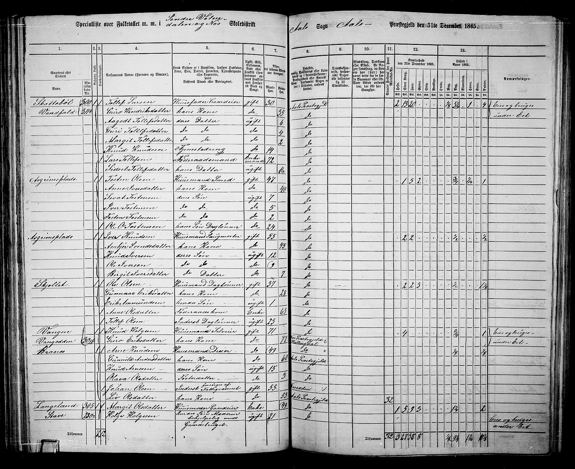 RA, 1865 census for Ål, 1865, p. 88