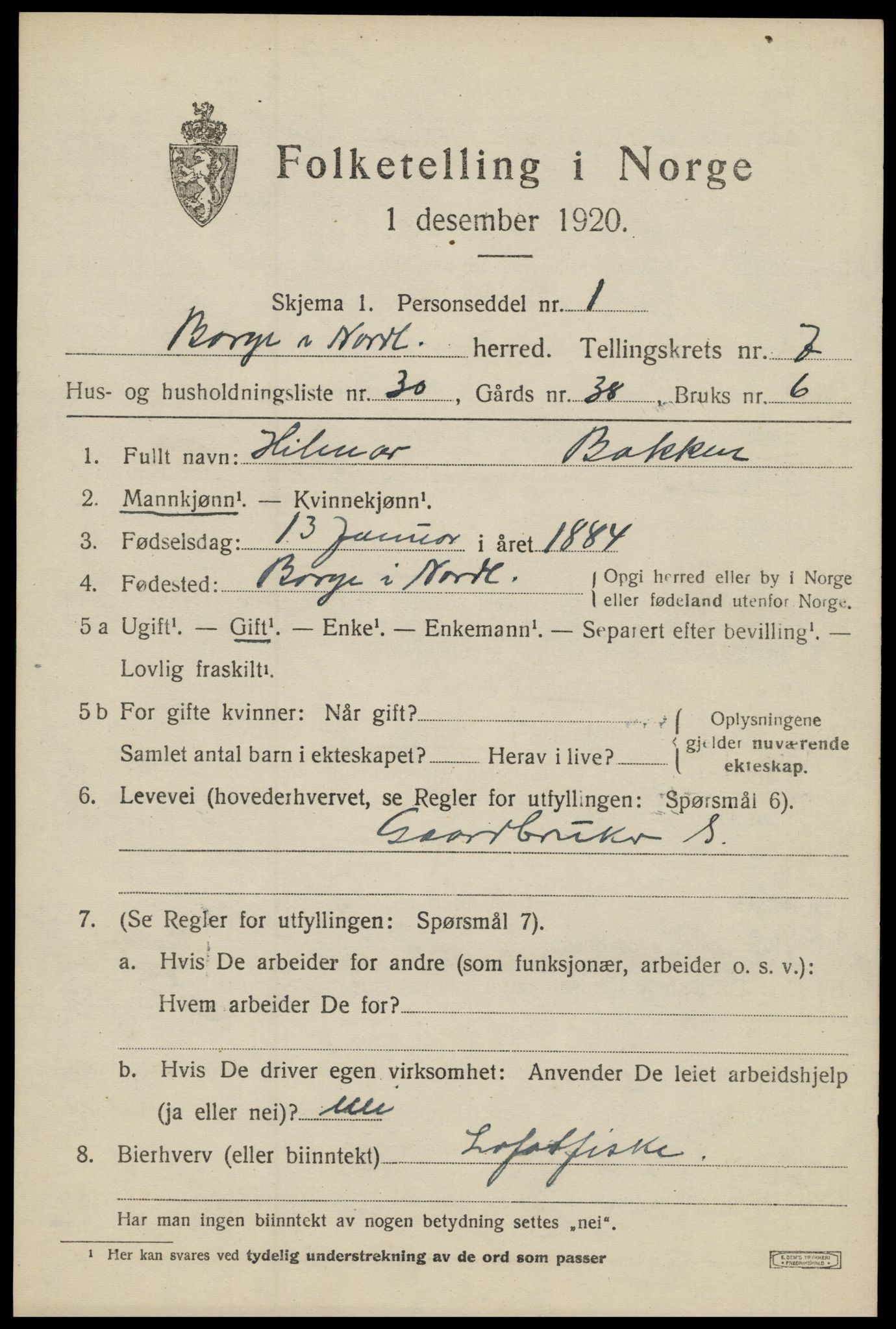 SAT, 1920 census for Borge, 1920, p. 6737