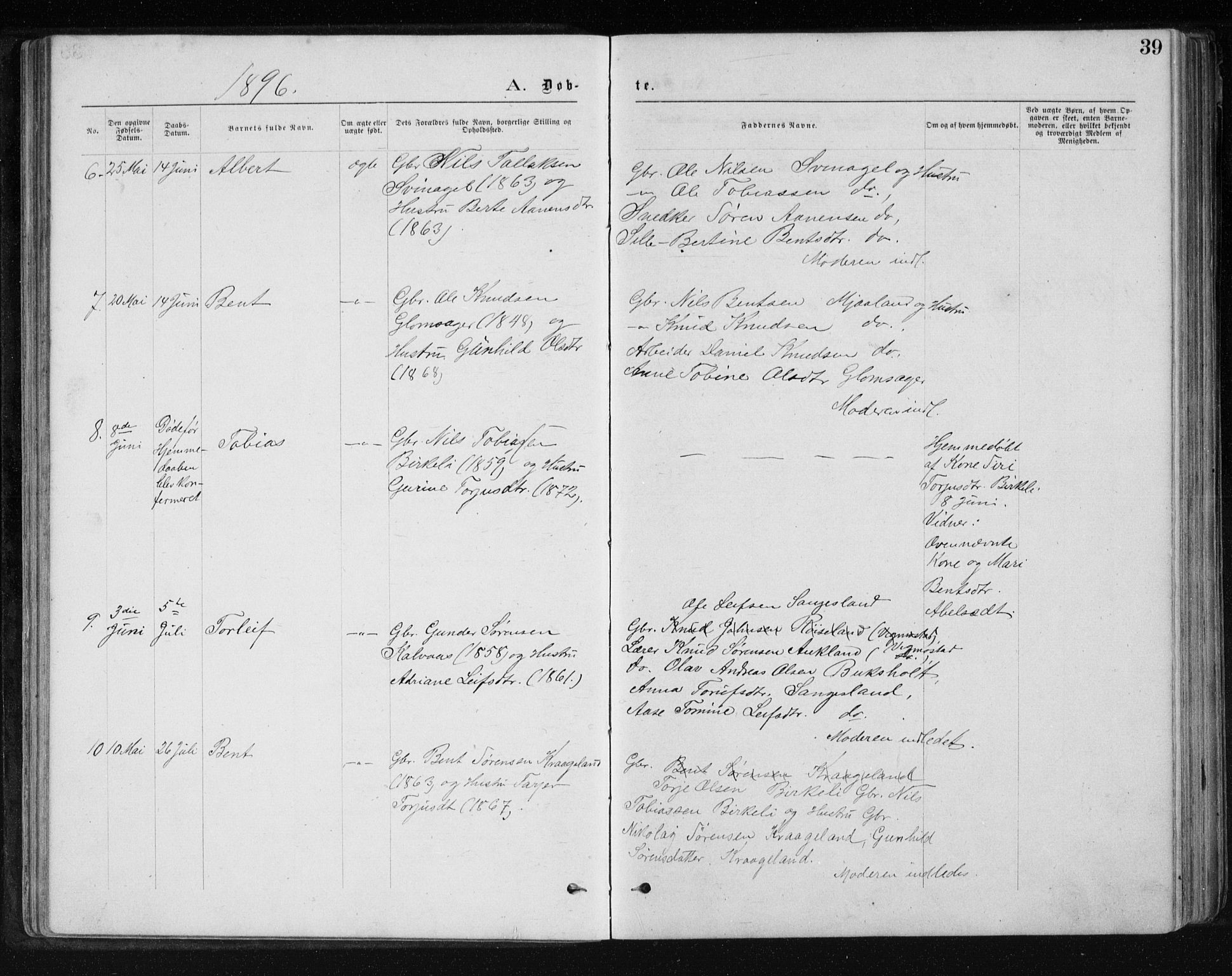 Holum sokneprestkontor, AV/SAK-1111-0022/F/Fb/Fbb/L0003: Parish register (copy) no. B 3, 1875-1898, p. 39