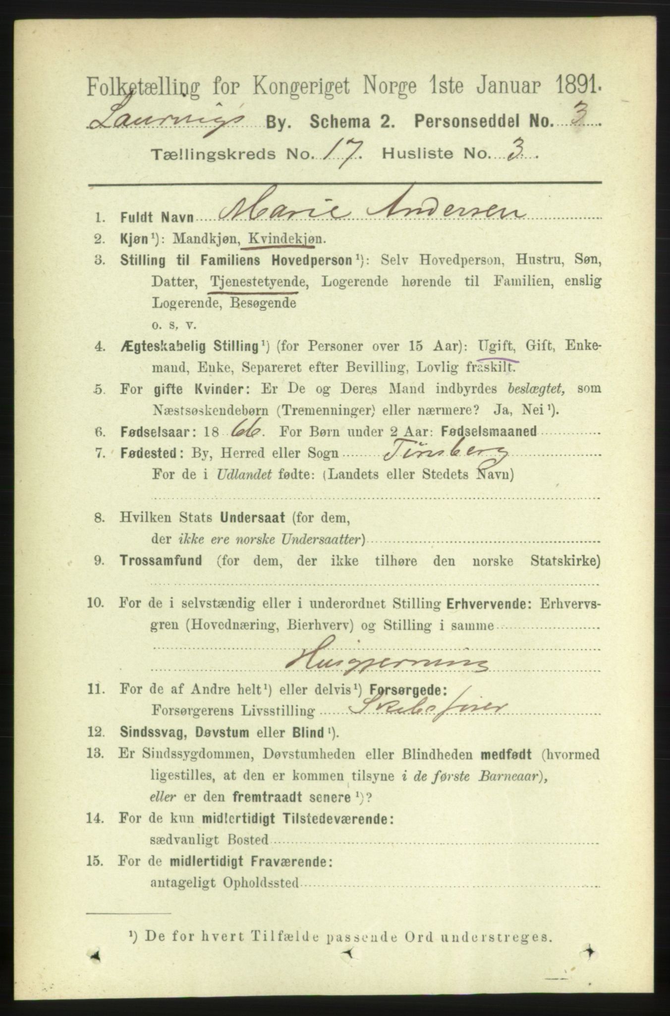 RA, 1891 census for 0707 Larvik, 1891, p. 12348