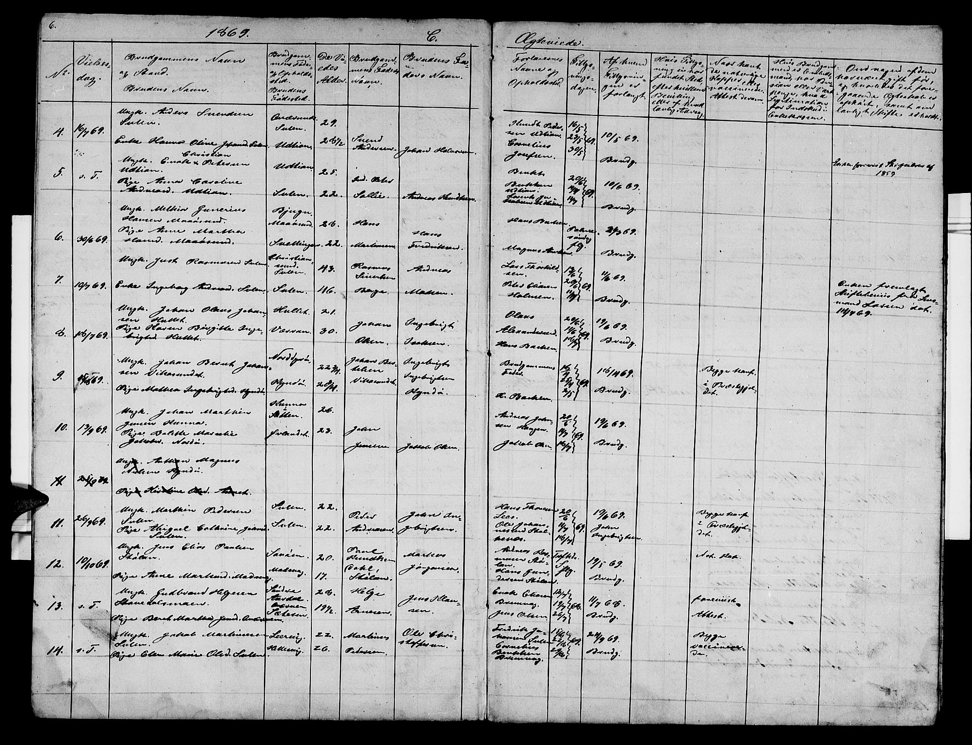 Ministerialprotokoller, klokkerbøker og fødselsregistre - Sør-Trøndelag, SAT/A-1456/640/L0584: Parish register (copy) no. 640C02, 1866-1877, p. 6