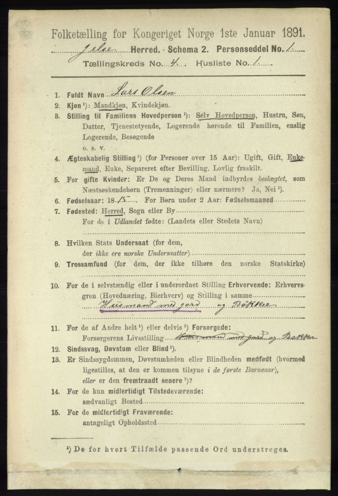 RA, 1891 census for 1138 Jelsa, 1891, p. 707