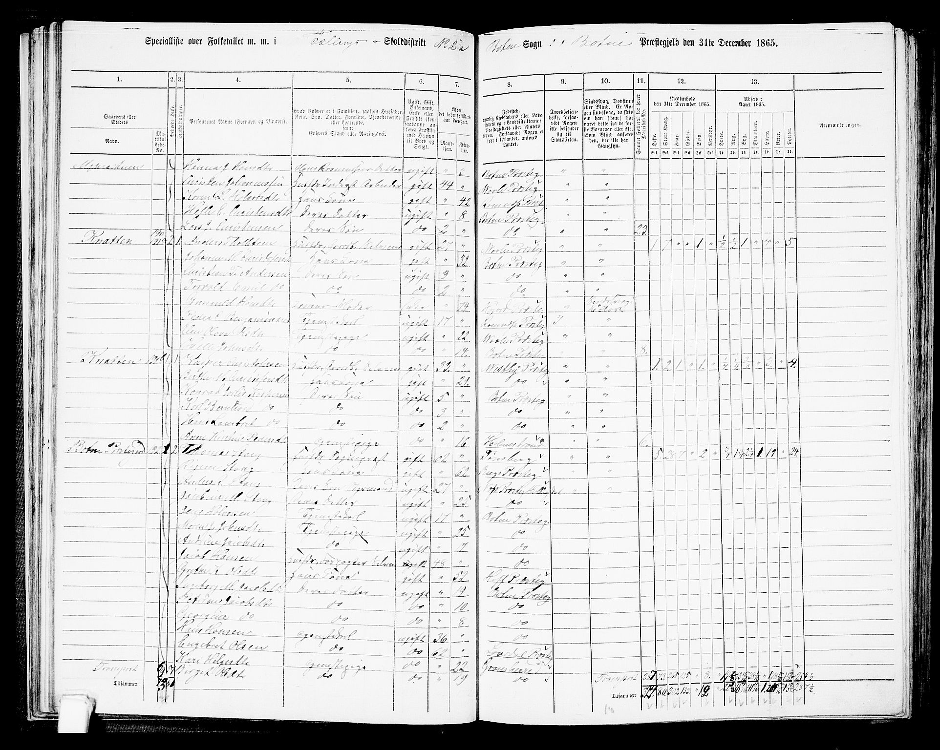 RA, 1865 census for Botne/Botne og Hillestad, 1865, p. 43