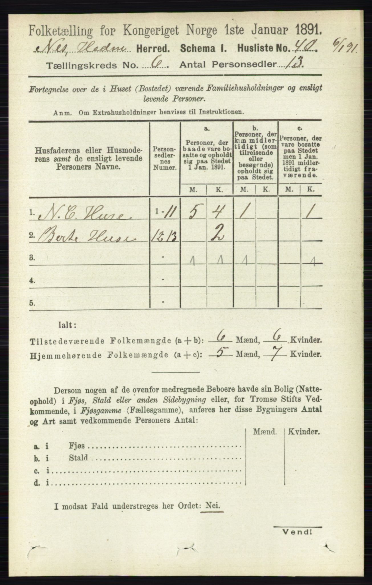 RA, 1891 census for 0411 Nes, 1891, p. 3208