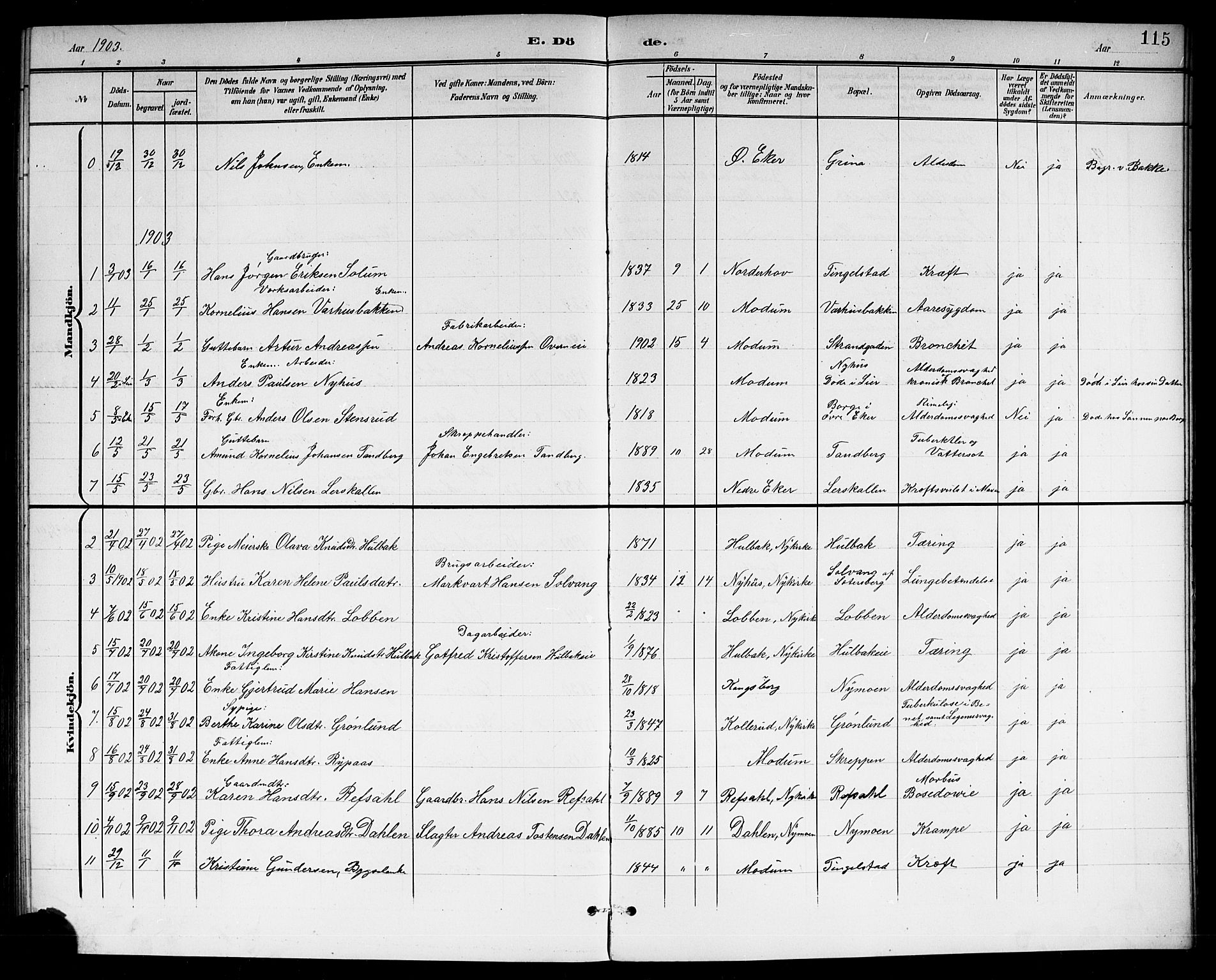 Modum kirkebøker, AV/SAKO-A-234/G/Gc/L0001: Parish register (copy) no. III 1, 1901-1919, p. 115