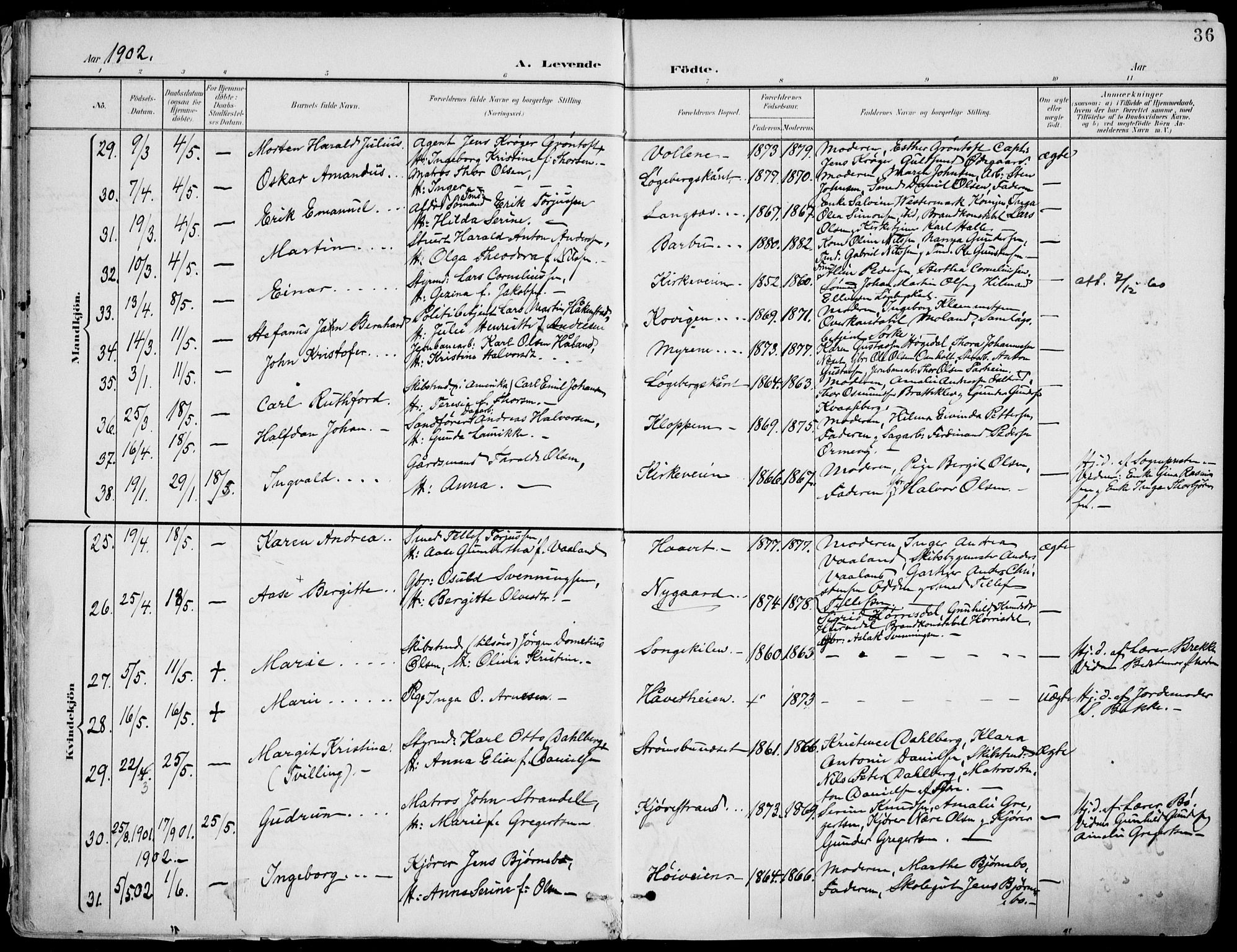 Barbu sokneprestkontor, AV/SAK-1111-0003/F/Fa/L0005: Parish register (official) no. A 5, 1899-1909, p. 36