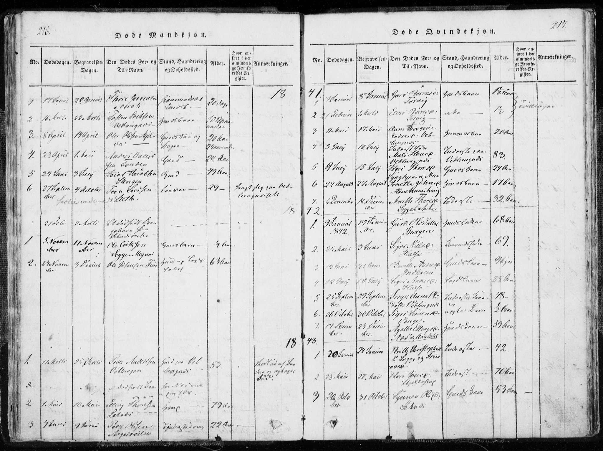 Ministerialprotokoller, klokkerbøker og fødselsregistre - Møre og Romsdal, AV/SAT-A-1454/544/L0571: Parish register (official) no. 544A04, 1818-1853, p. 216-217