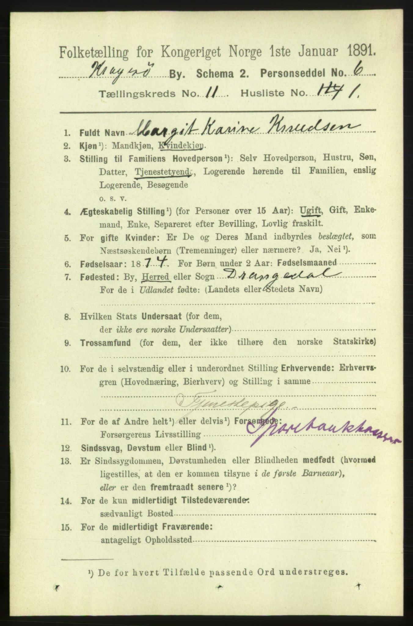 RA, 1891 census for 0801 Kragerø, 1891, p. 3856