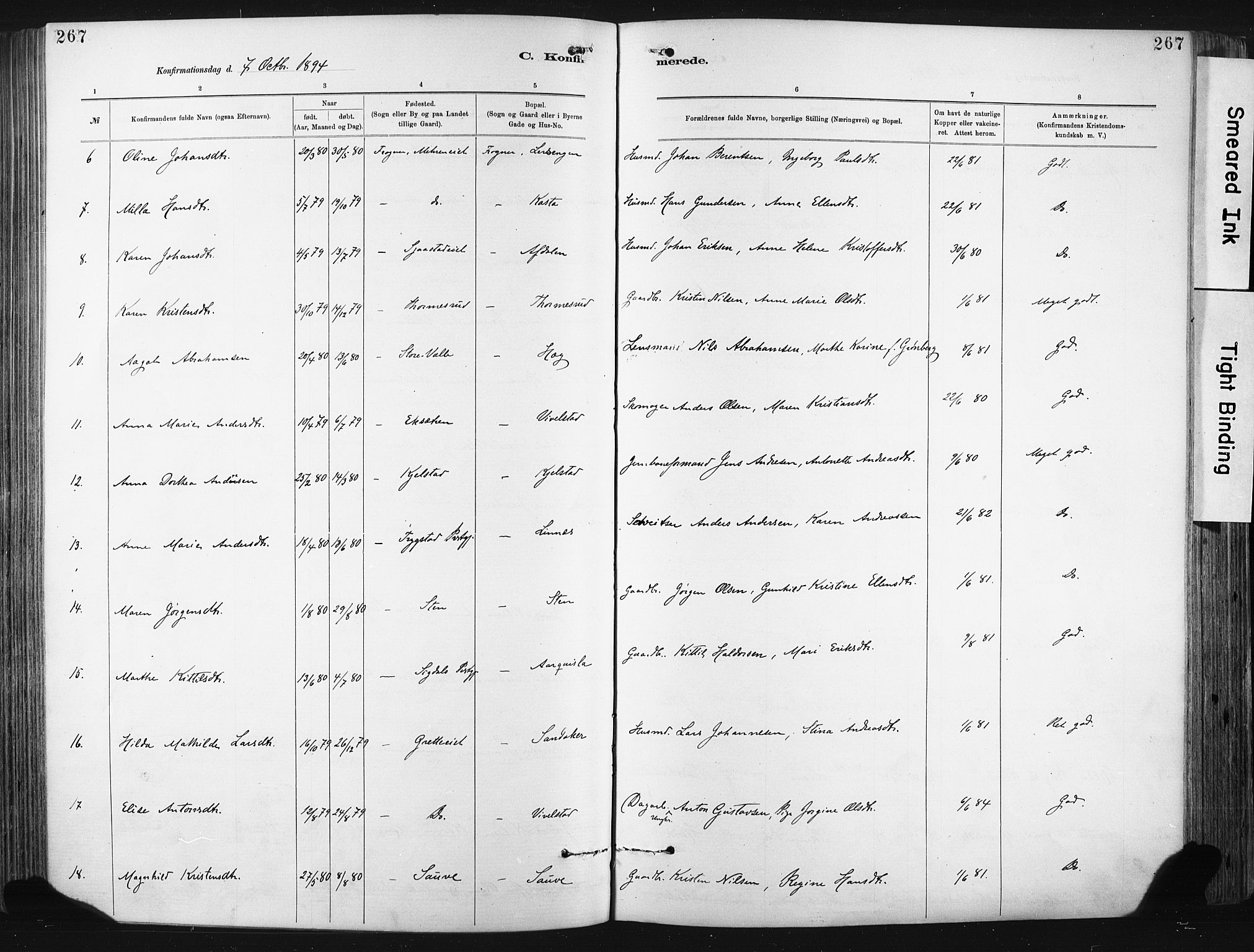 Lier kirkebøker, SAKO/A-230/F/Fa/L0015: Parish register (official) no. I 15, 1883-1894, p. 267