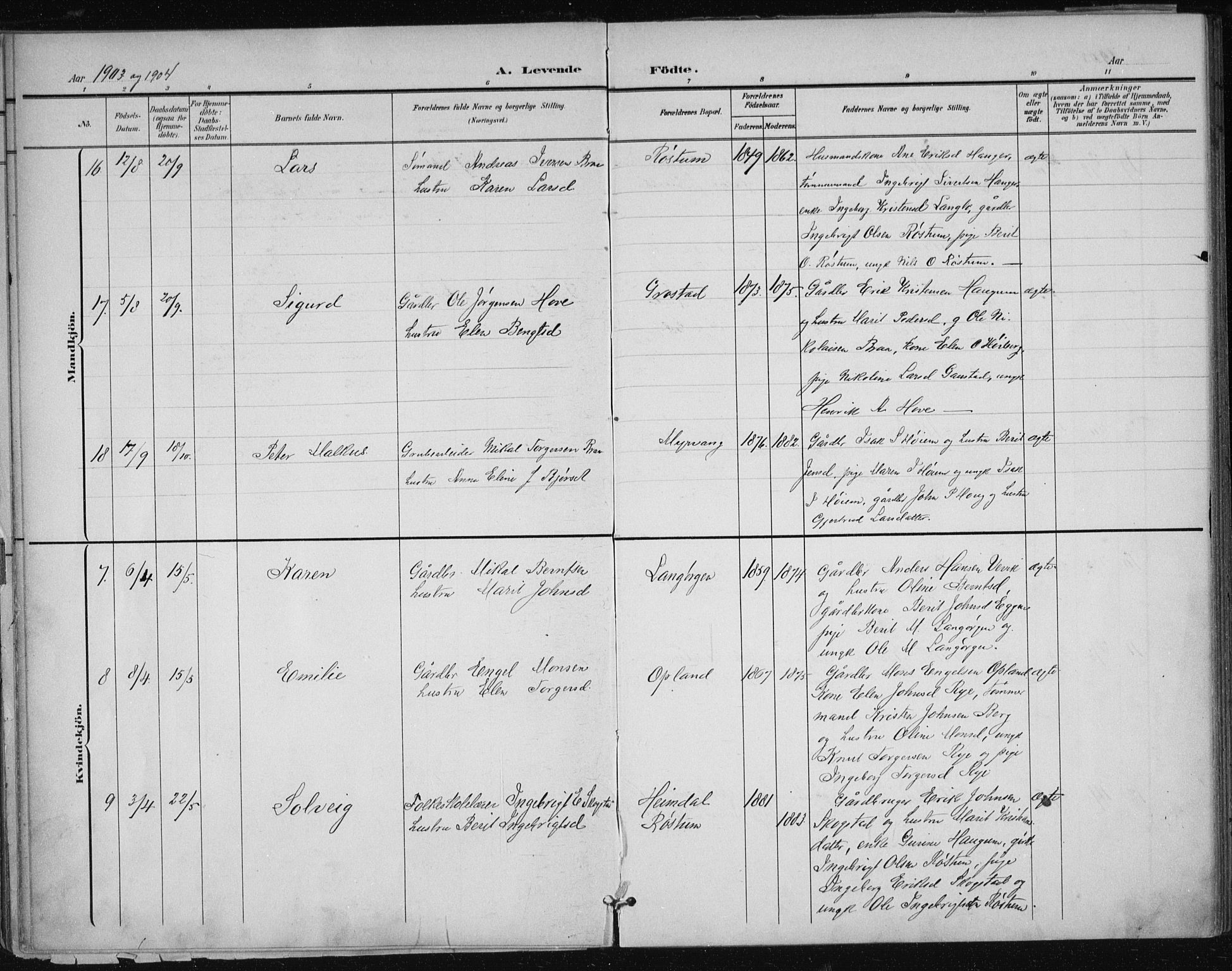 Ministerialprotokoller, klokkerbøker og fødselsregistre - Sør-Trøndelag, AV/SAT-A-1456/612/L0380: Parish register (official) no. 612A12, 1898-1907, p. 46