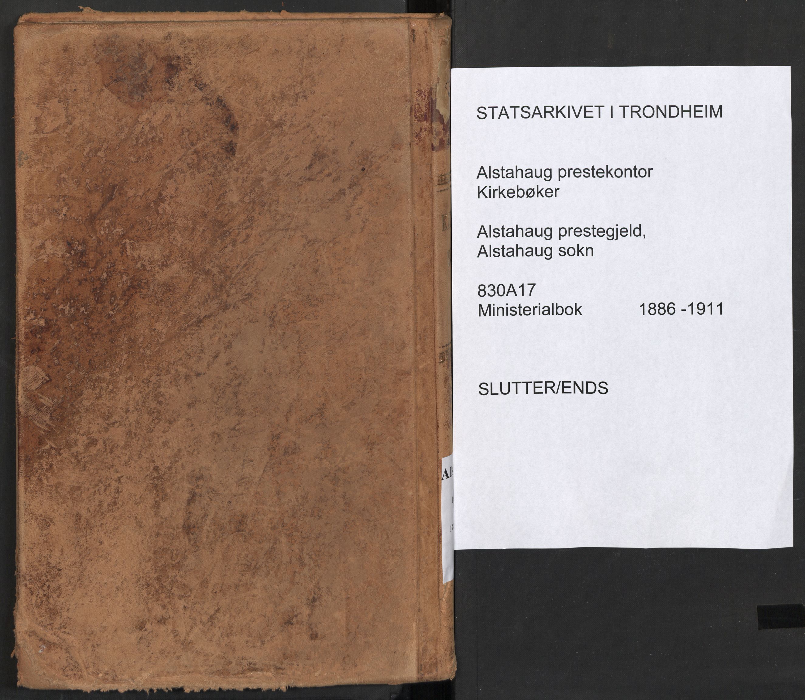 Ministerialprotokoller, klokkerbøker og fødselsregistre - Nordland, AV/SAT-A-1459/830/L0453: Parish register (official) no. 830A17, 1886-1911