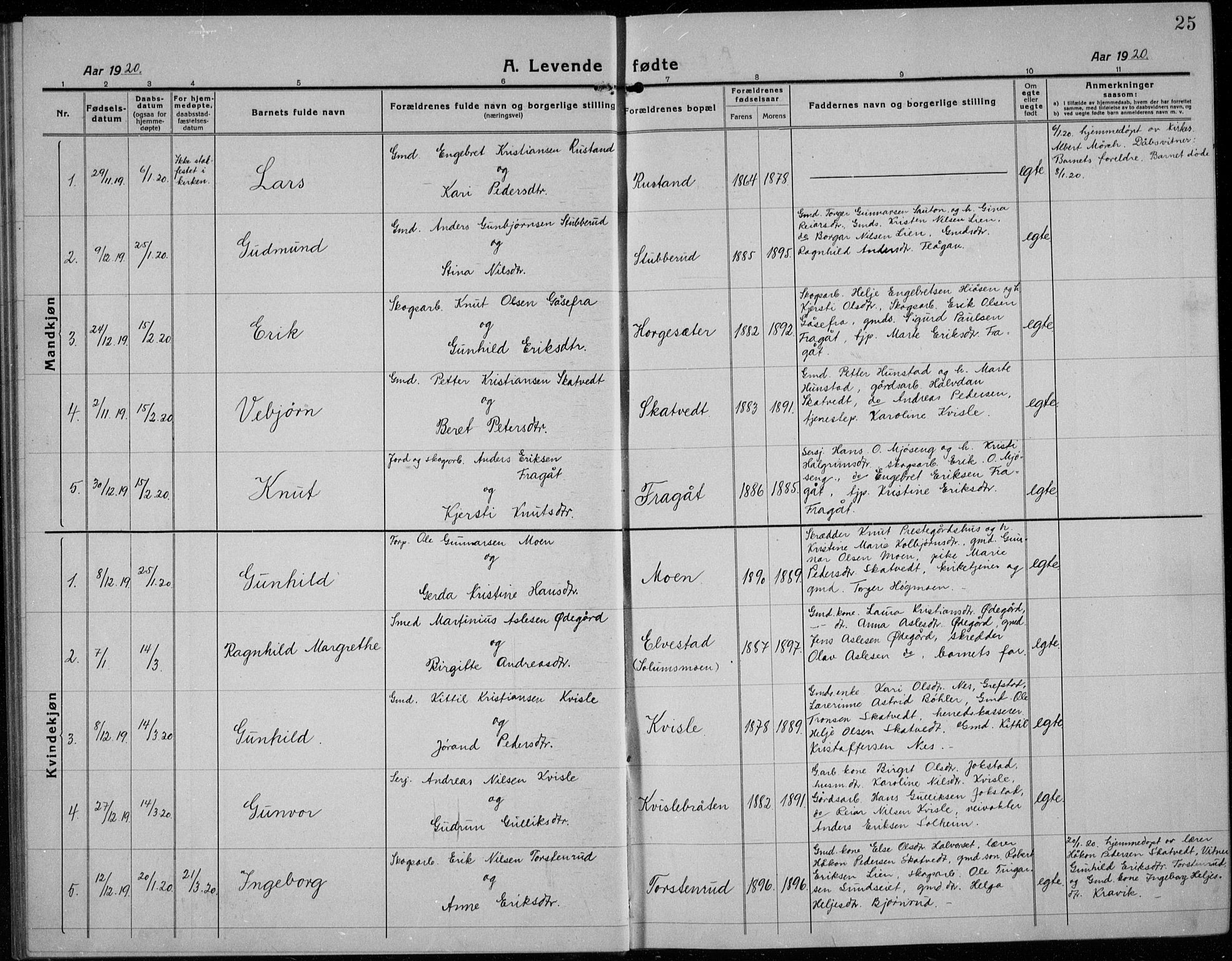 Sigdal kirkebøker, SAKO/A-245/G/Ga/L0007: Parish register (copy) no. I 7, 1917-1935, p. 25
