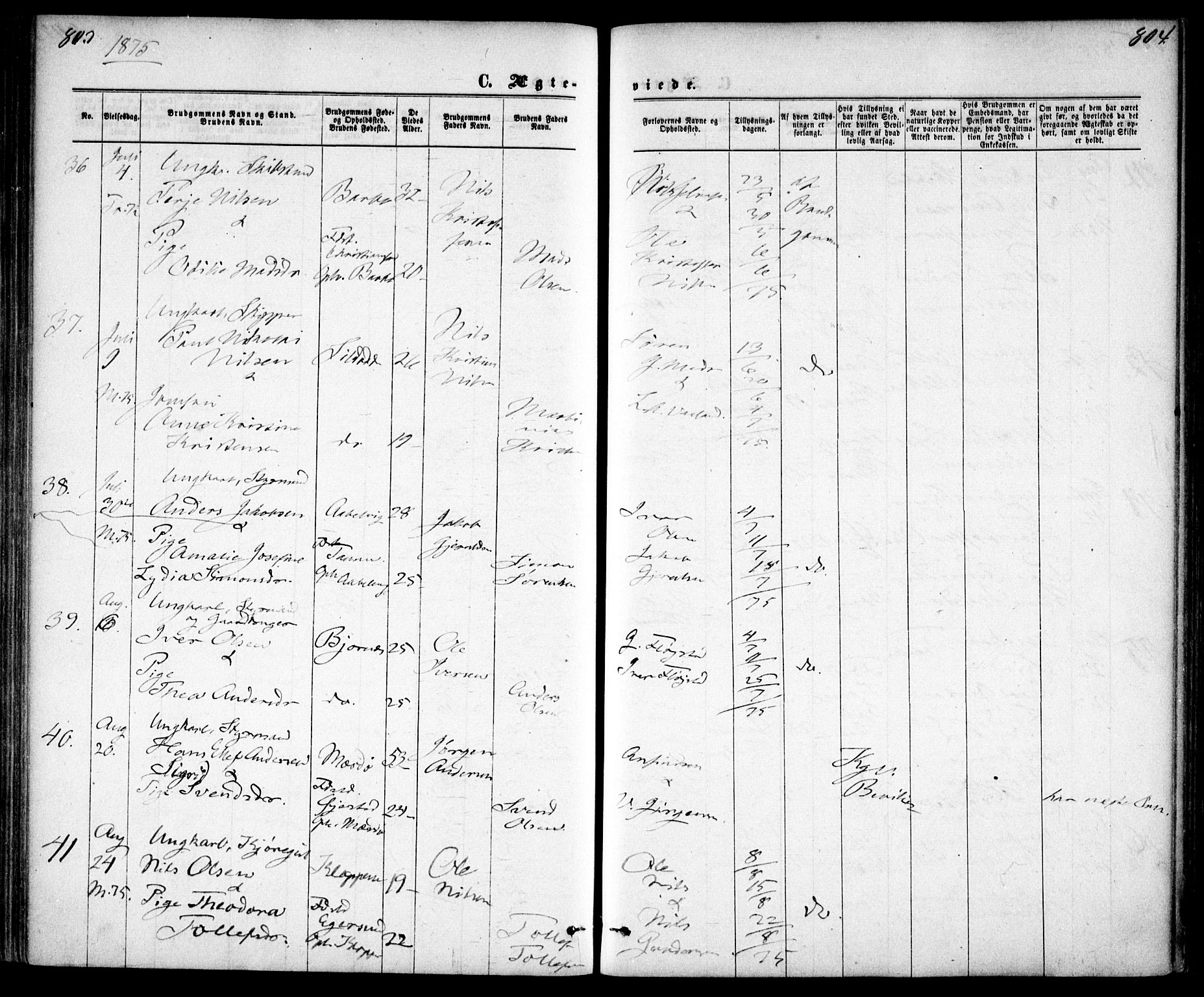 Tromøy sokneprestkontor, AV/SAK-1111-0041/F/Fa/L0008: Parish register (official) no. A 8, 1870-1877, p. 803-804