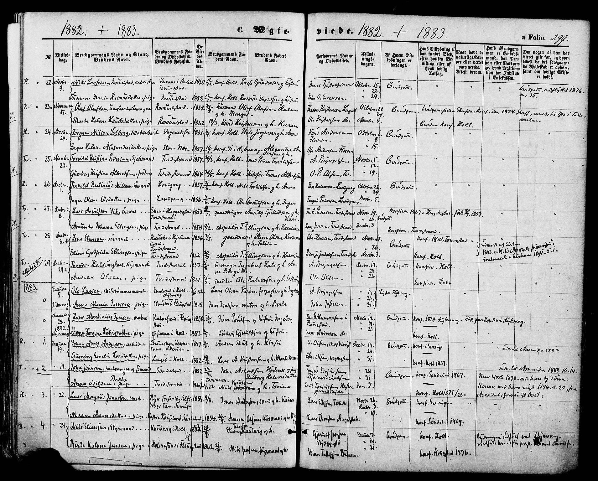 Holt sokneprestkontor, AV/SAK-1111-0021/F/Fa/L0010: Parish register (official) no. A 10, 1872-1885, p. 299