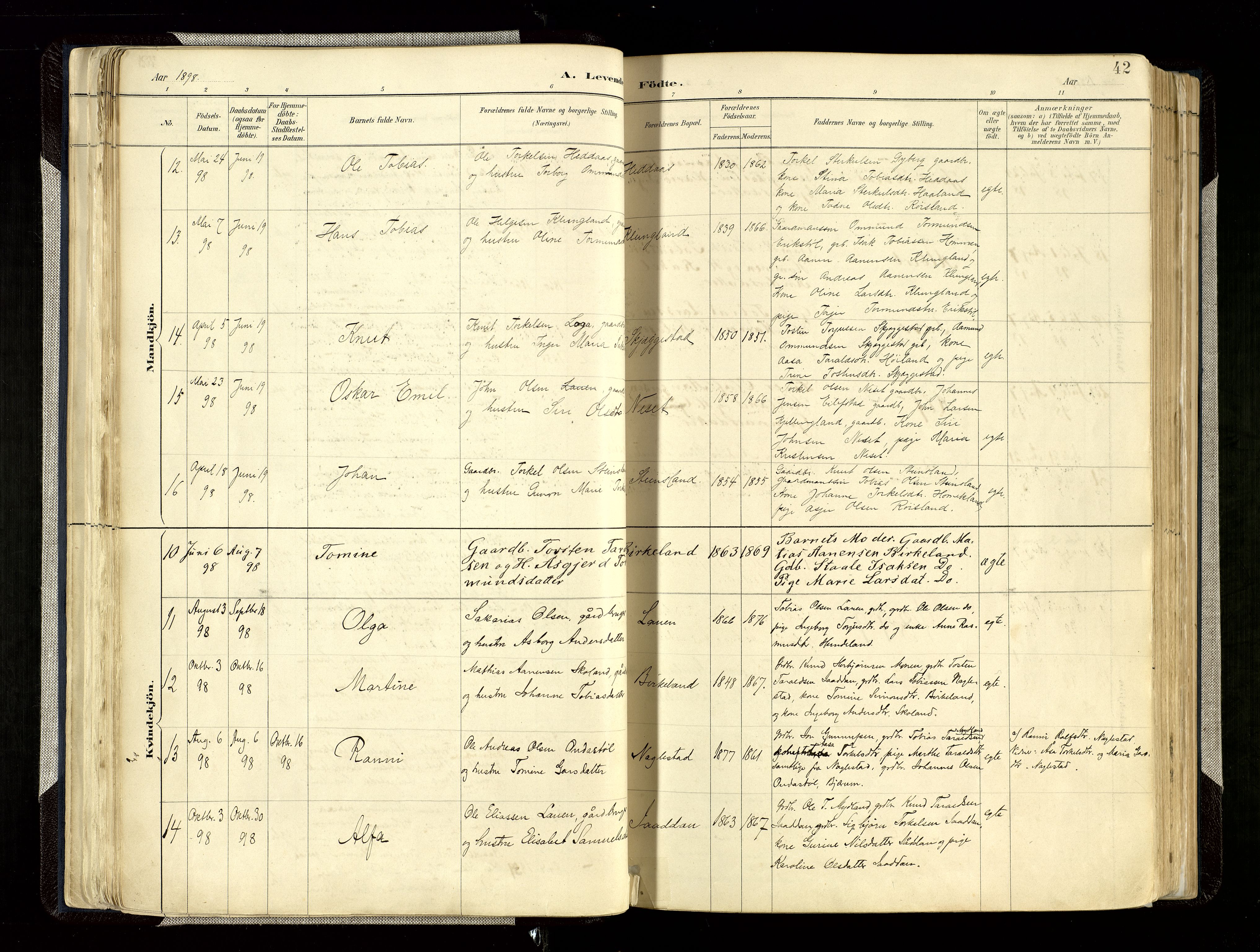 Hægebostad sokneprestkontor, SAK/1111-0024/F/Fa/Faa/L0006: Parish register (official) no. A 6, 1887-1929, p. 42
